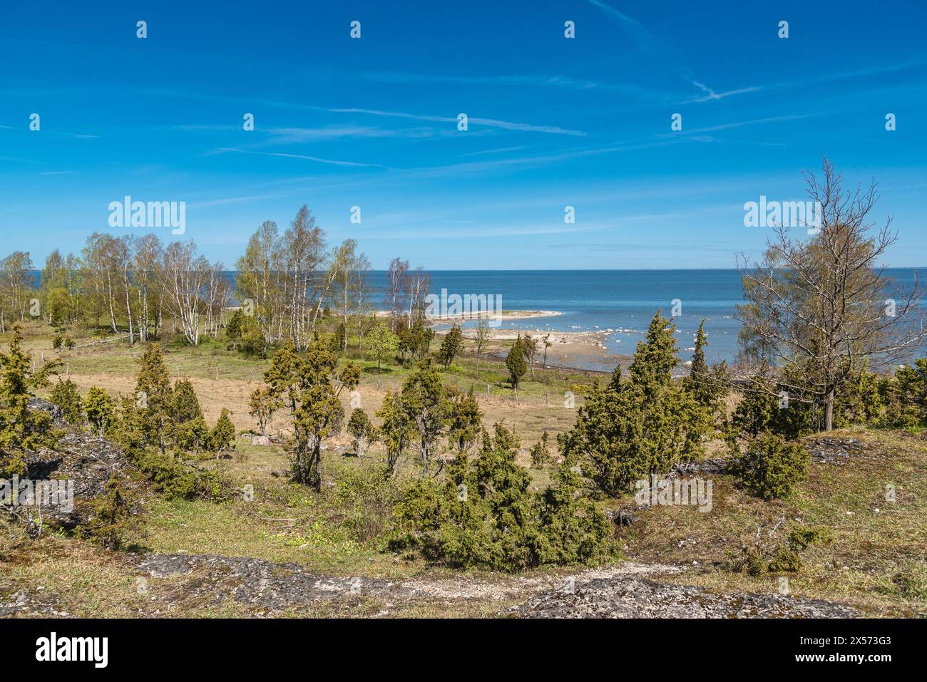 landscape view to Baltic sea from Ugu cliff in Muhu island, Estonia on sunny spring day Stock Photo