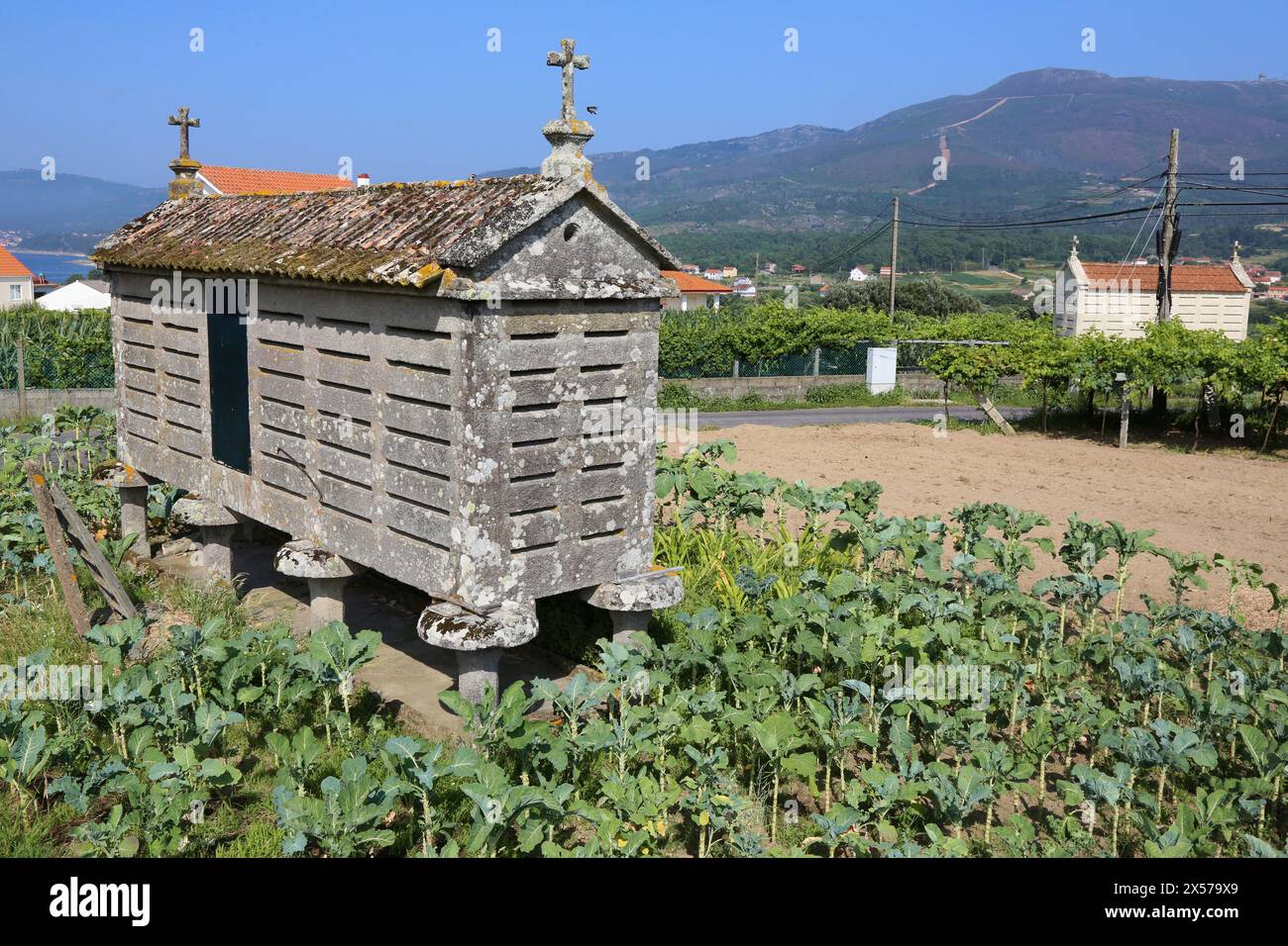Horreo, Near of Porto do Son, A Coruña province, Galicia, Spain. Stock Photo