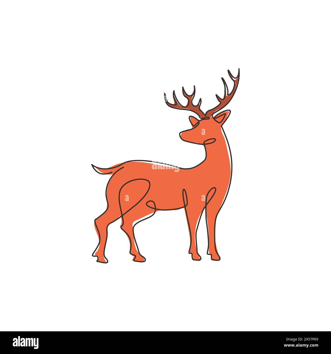 Single continuous line drawing of elegance cute deer for national zoo