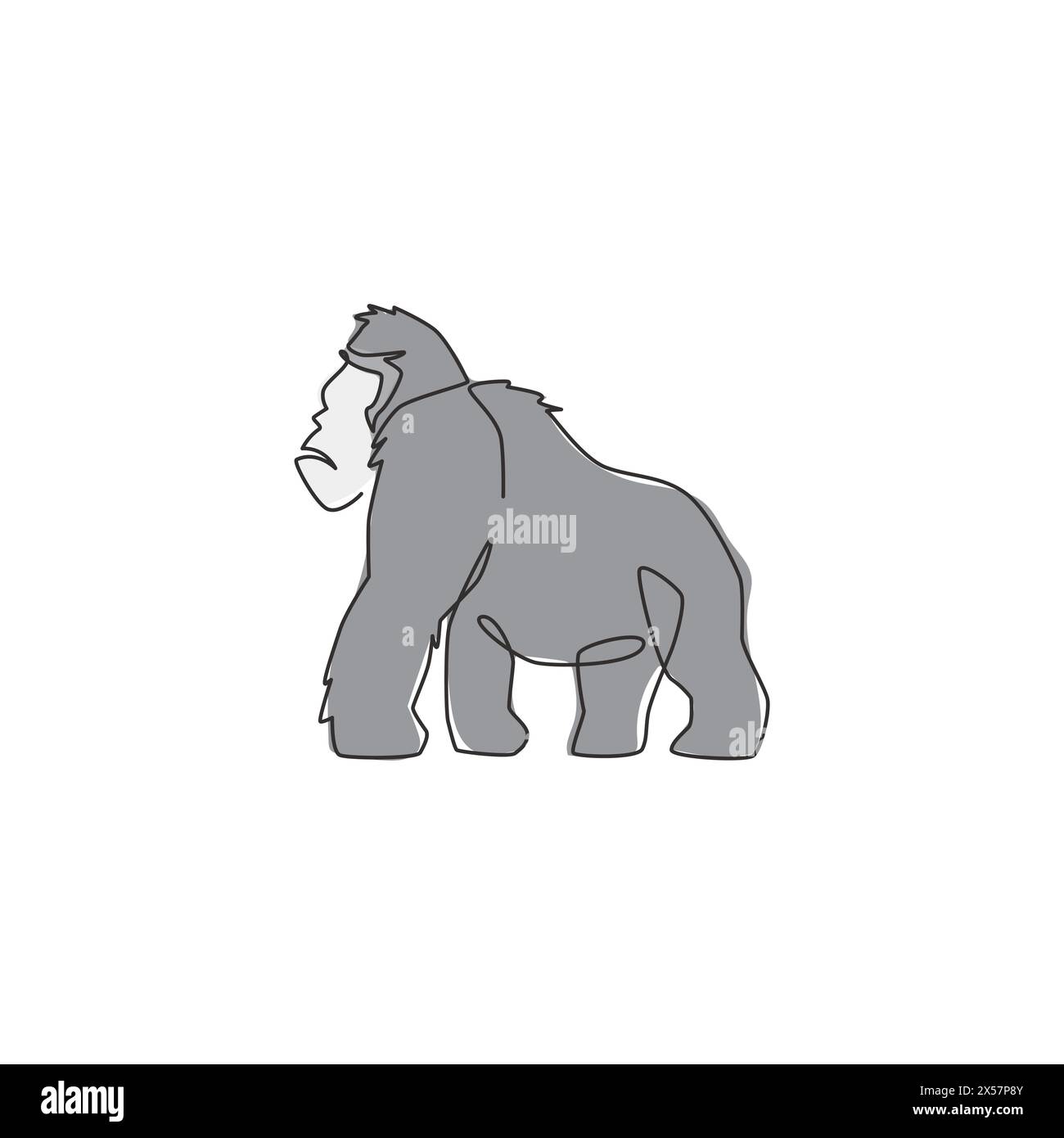 Single continuous line drawing of gorilla for national zoo logo