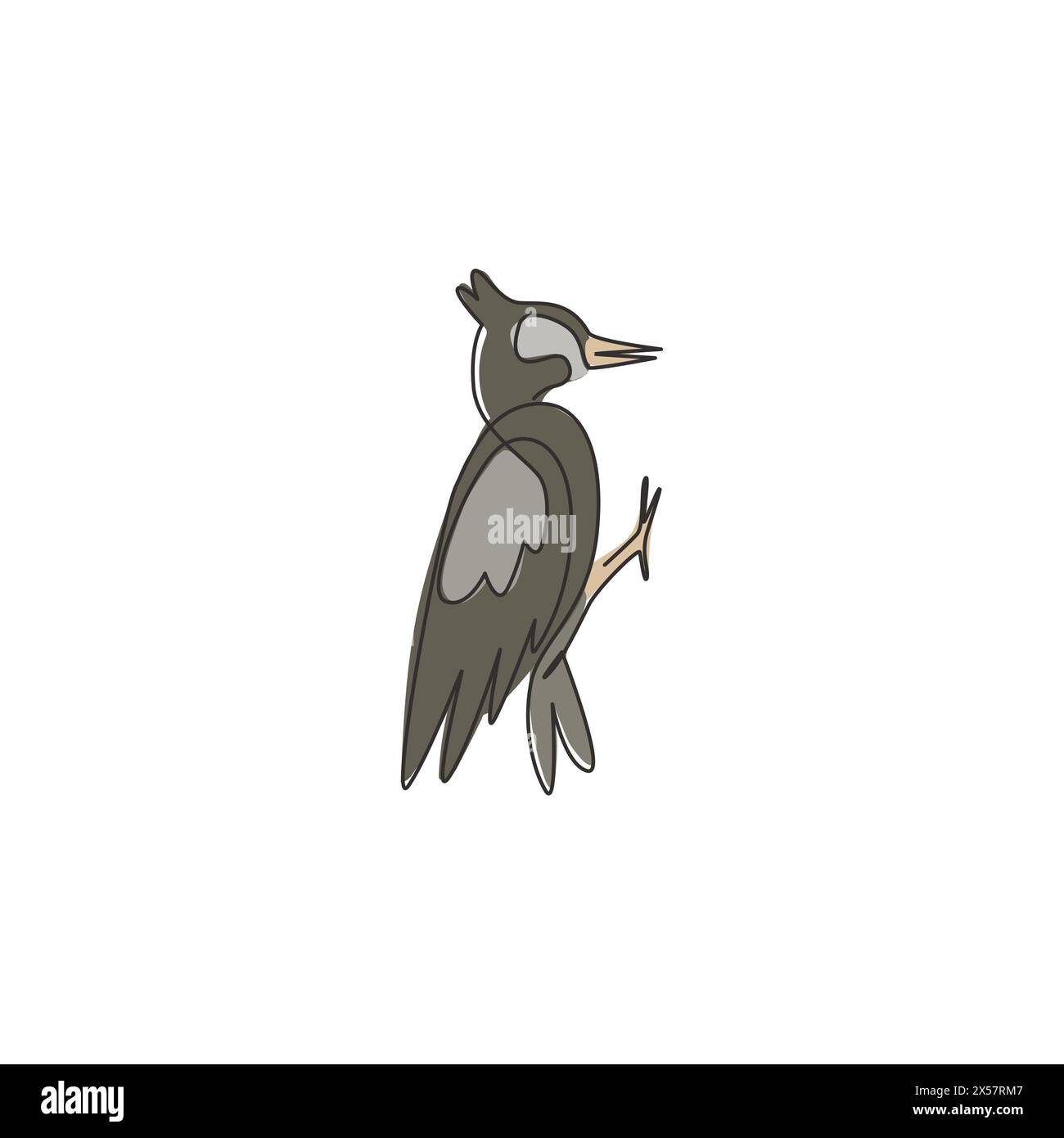 Woodpecker food Cut Out Stock Images & Pictures - Alamy