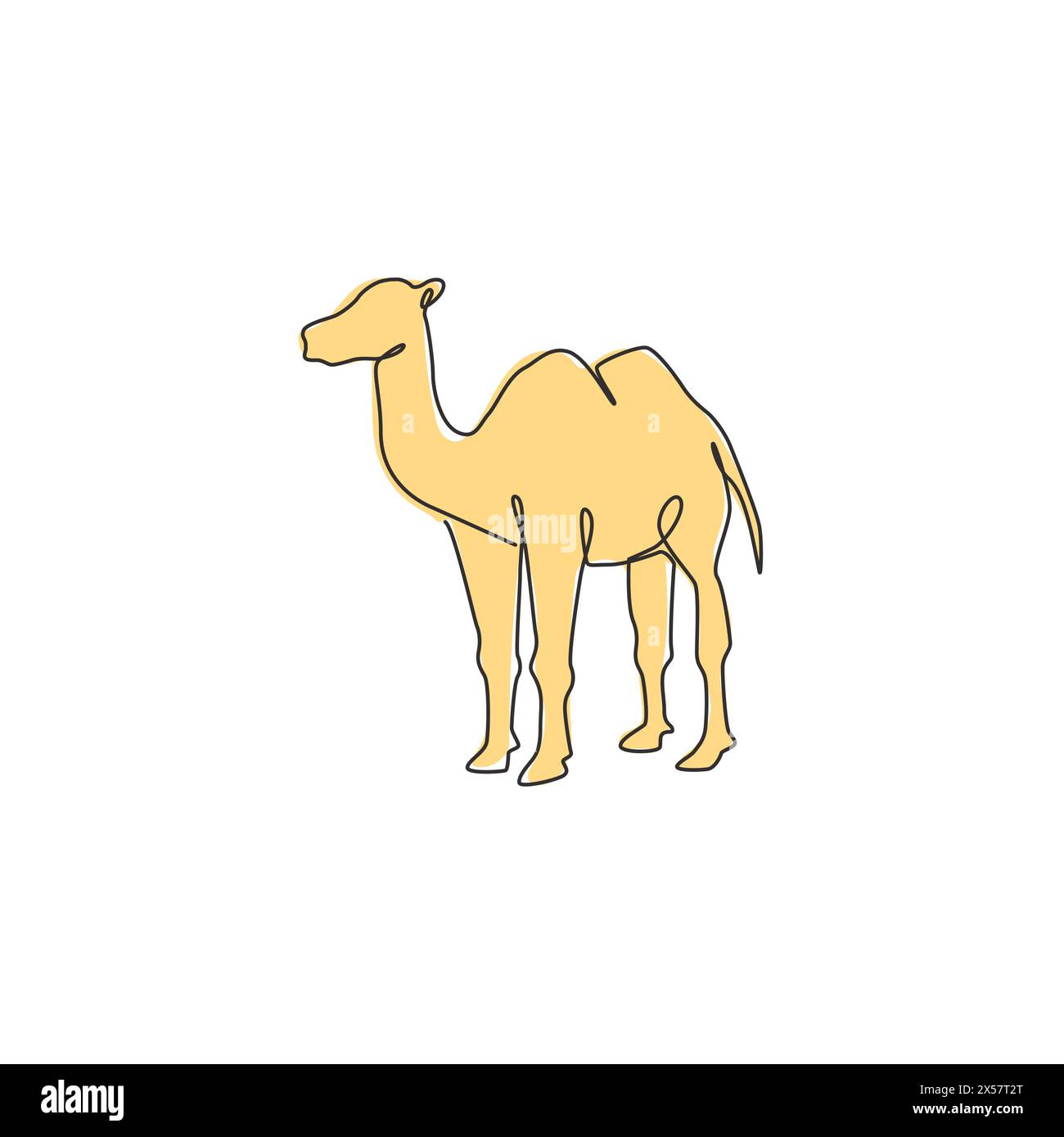 One continuous line drawing of Arabian desert camel for livestock business logo identity. Dromedary animal concept for middle east countries zoo icon. Stock Vector