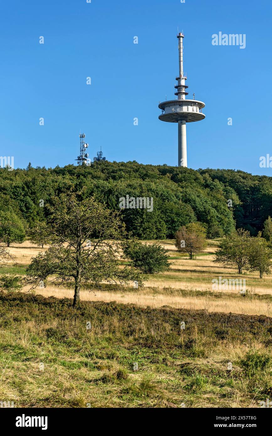 German Telekom telecommunications tower, transmission tower, forest, dry meadows, Hoherodskopf summit, excursion destination, Schotten, Vogelsberg Stock Photo
