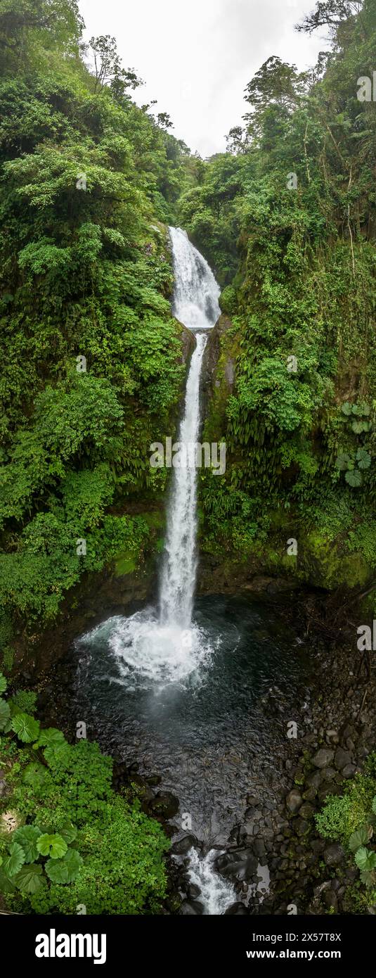 Aerial view, waterfall in the rainforest, Catarata de la Paz, La Paz ...