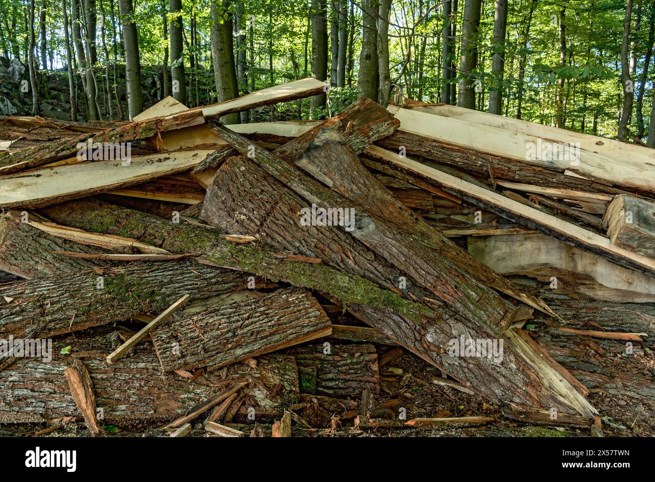 Pile of tree bark, bark, wood from cutting of wooden boards, waste, remains from sawmill, beech forest, summit of Hoherodskopf mountain, Schotten Stock Photo