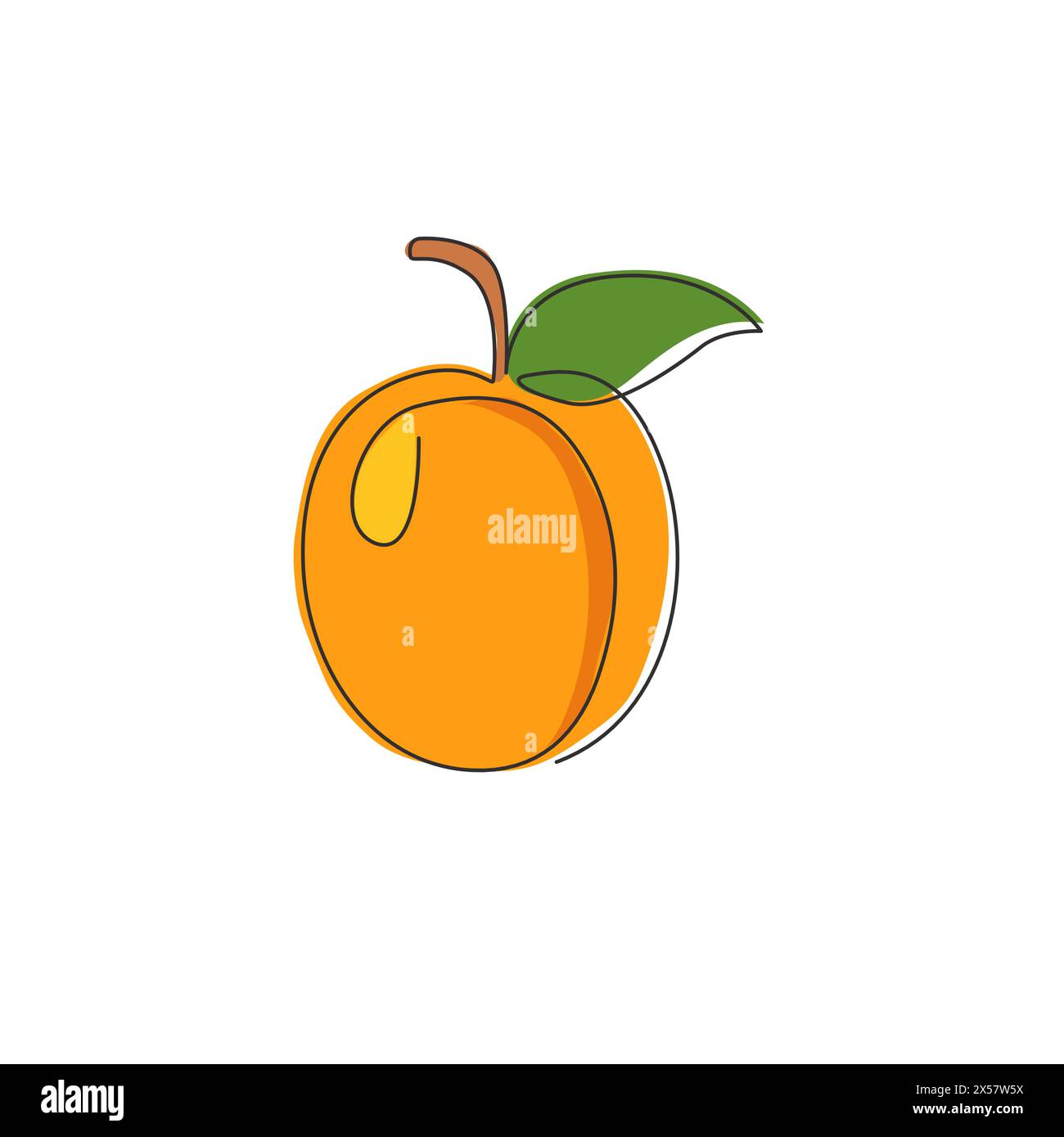 One continuous line drawing of whole healthy organic apricot for orchard logo identity. Fresh fruitage concept for fruit garden icon. Modern single li Stock Vector