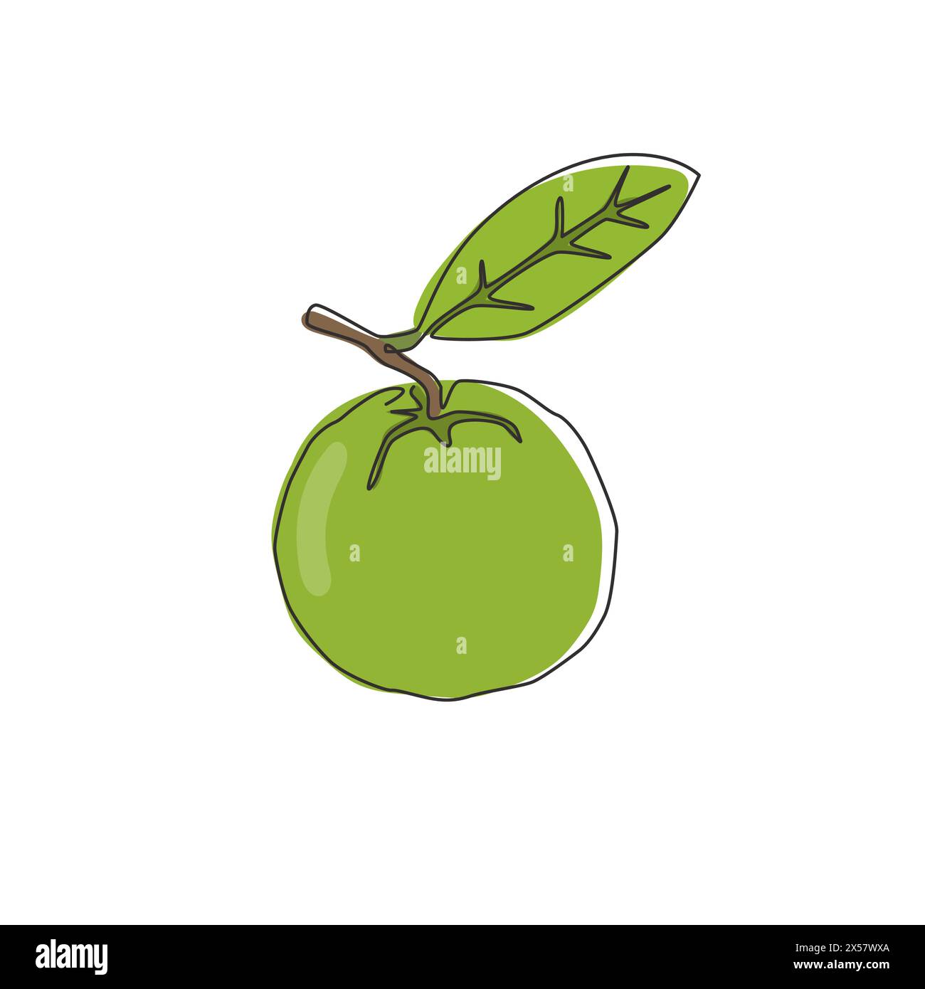 One continuous line drawing whole healthy organic java guava for ...