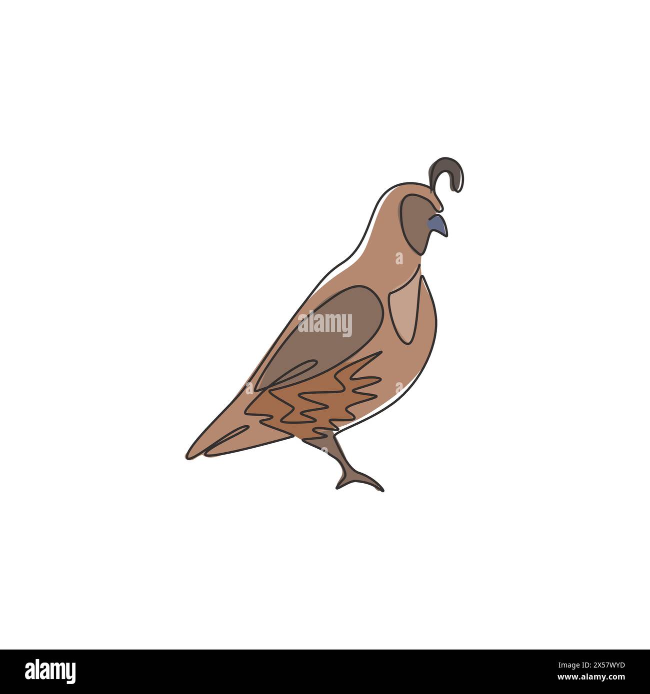 One continuous line drawing of cute California quail for farm logo identity. Highly sociable bird mascot concept for national park icon. Modern single Stock Vector