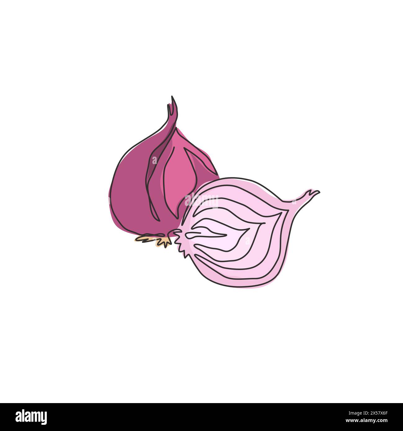 One single line drawing whole and sliced healthy organic bulb onion for farm logo identity. Fresh common onion concept vegetable icon. Modern continuo Stock Vector