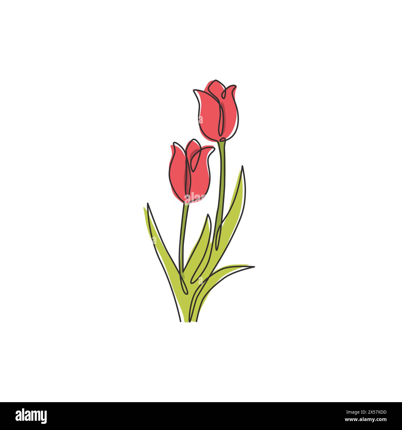 One continuous line drawing of beauty fresh tulip for logo. Printable poster decorative Netherlands nationality flower concept wall home decor art. Mo Stock Vector