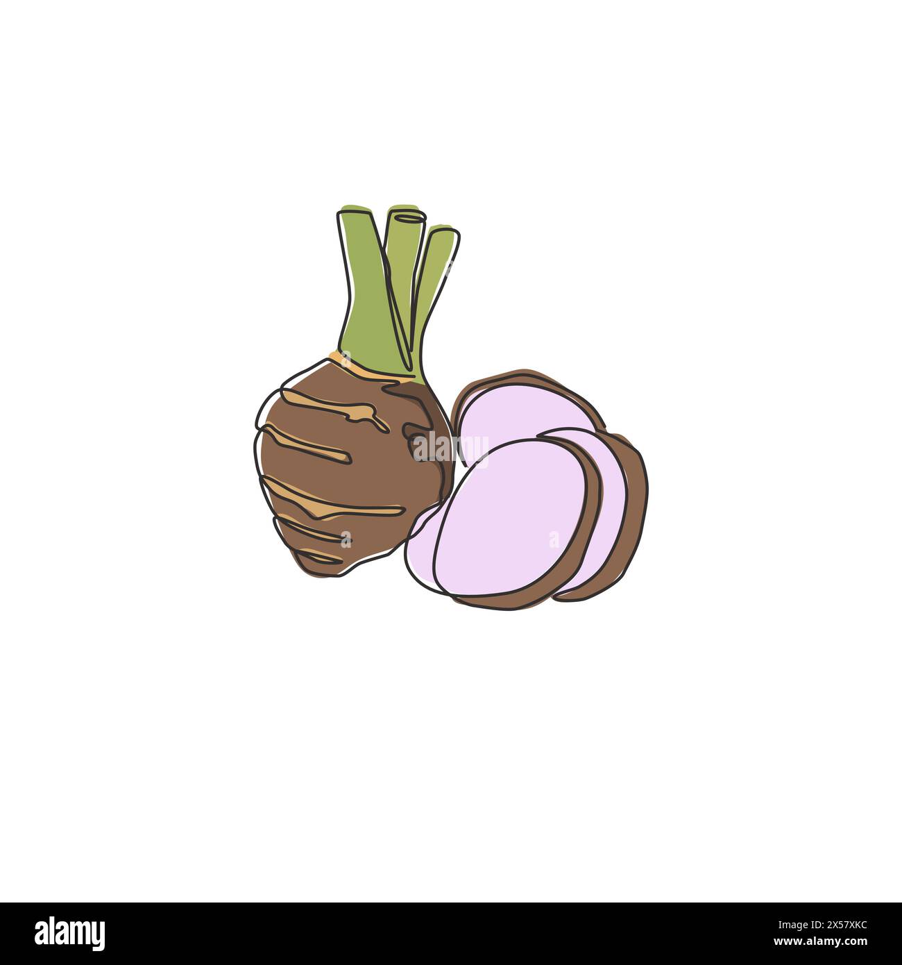 Single continuous line drawing of whole healthy organic taro for farm logo identity. Fresh tropical plant edible corm concept for root vegetable icon. Stock Vector