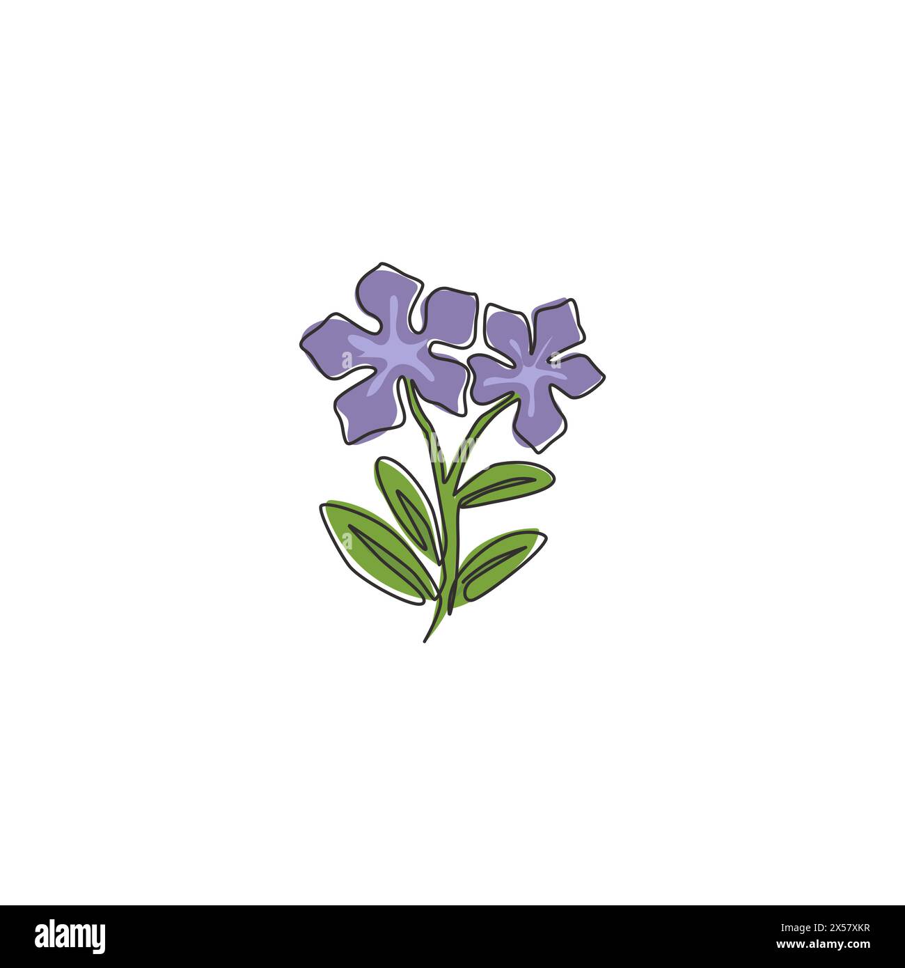 One continuous line drawing beauty fresh catharanthus for wall art home decor poster. Printable decorative periwinkle flower concept for park icon. Mo Stock Vector