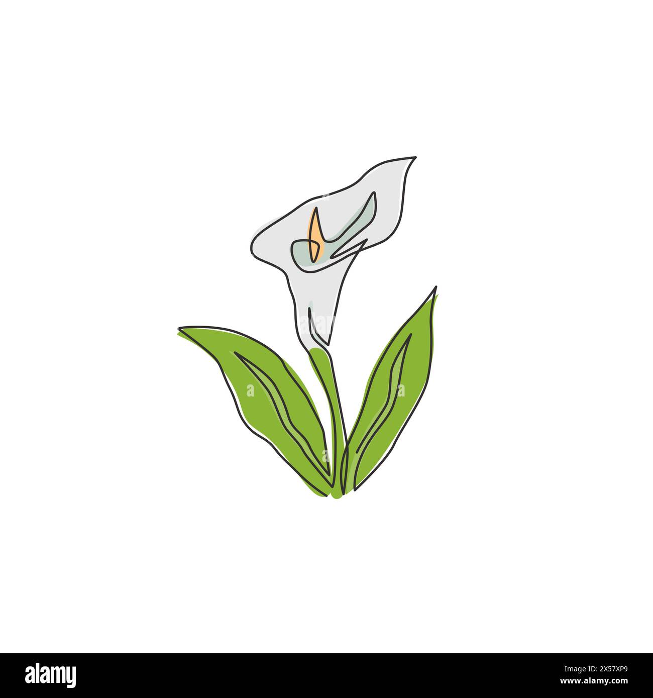 One continuous line drawing of beauty fresh arum lily for garden logo. Printable decorative zantedeschia flower concept for home wall decor poster. Mo Stock Vector