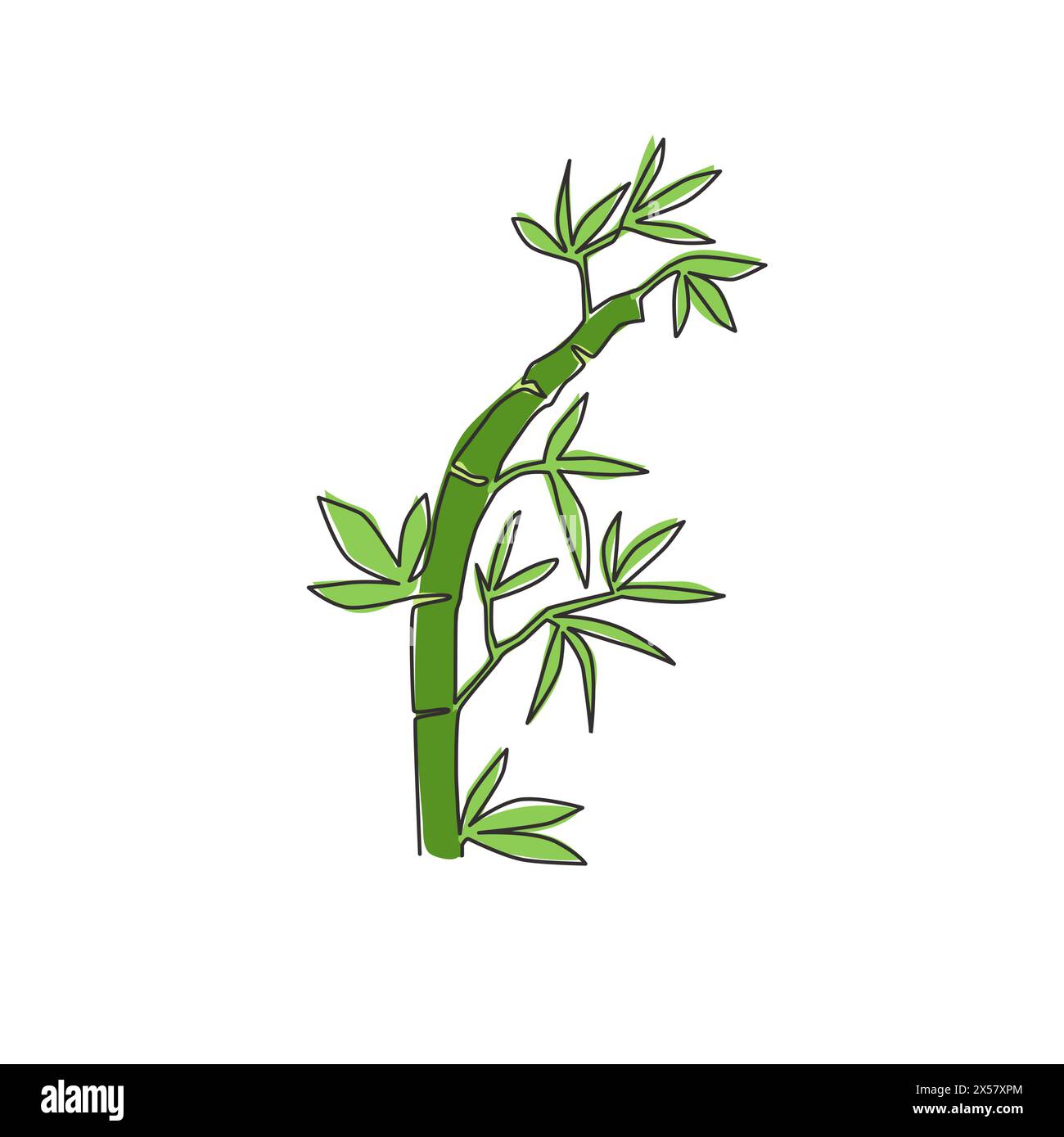 One single line drawing of bamboo trees for plantation logo identity