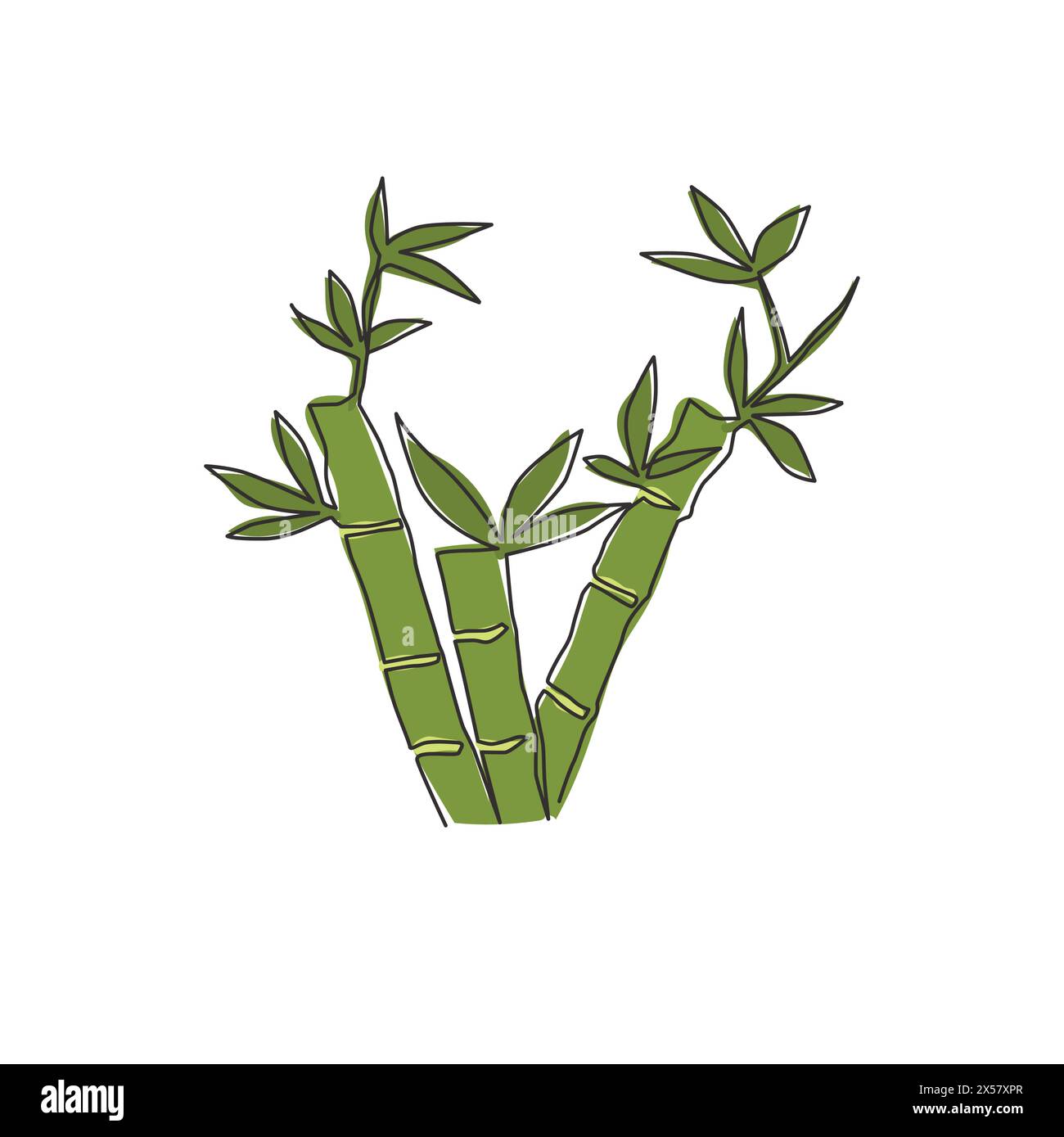 One continuous line drawing of bamboo trees for plantation logo identity. Fresh evergreen perennial flowering plant concept for plant icon. Modern sin Stock Vector