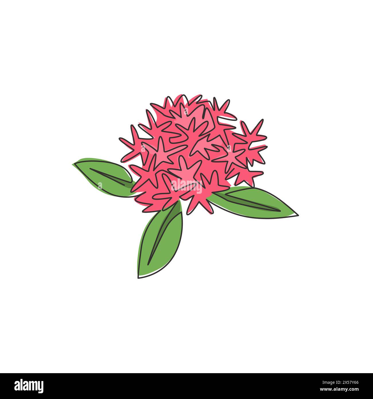 One continuous line drawing beauty fresh flowering plant for garden logo. Printable decorative ixora flower concept for home decor wall art poster. Mo Stock Vector