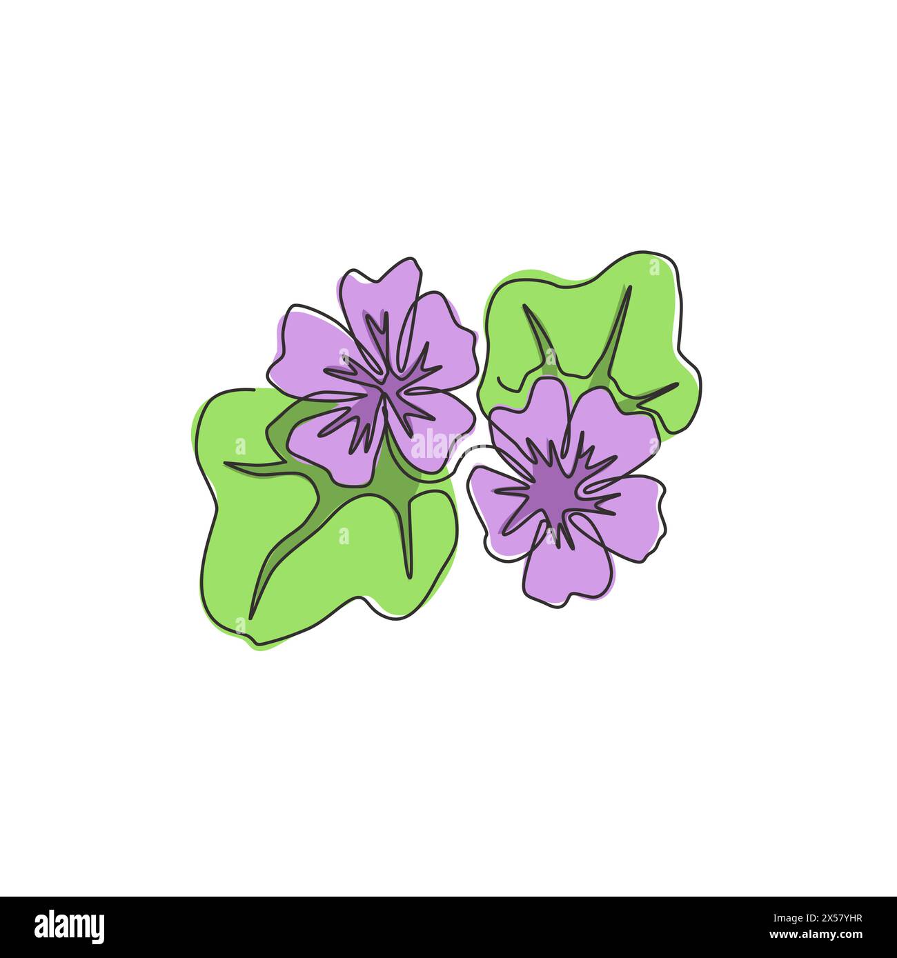 One continuous line drawing beauty fresh purple mallow for home decor poster wall art. Decorative malva sylvestris flower for wedding invitation card. Stock Vector