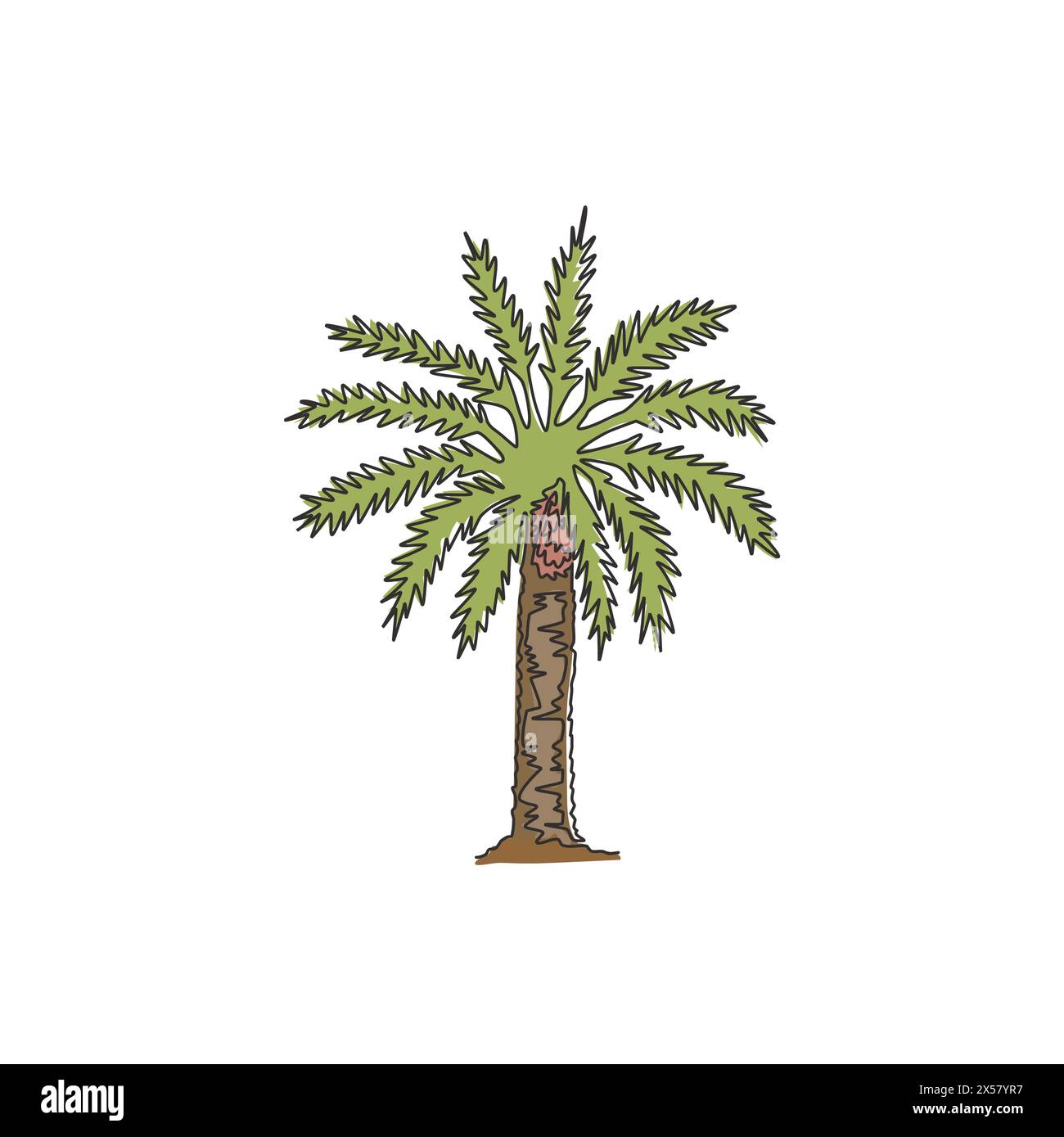 Single continuous line drawing of beauty and big phoenix dactylifera tree. Decorative date palm plant concept for home decor wall art poster print. Mo Stock Vector