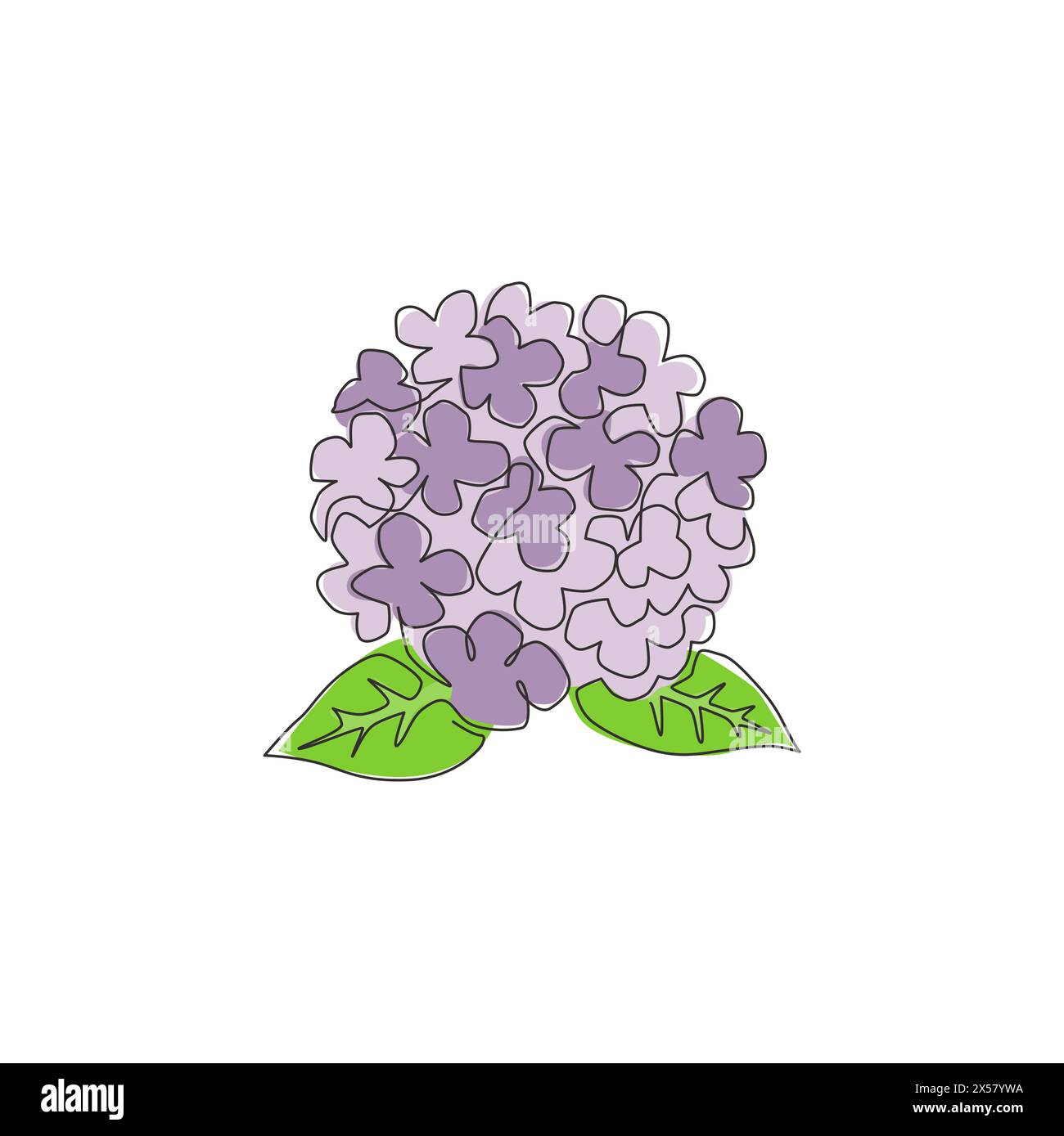 Single continuous line drawing beauty fresh hortensia for home wall decor art poster print. Decorative hydrangea flower concept for floral card frame. Stock Vector