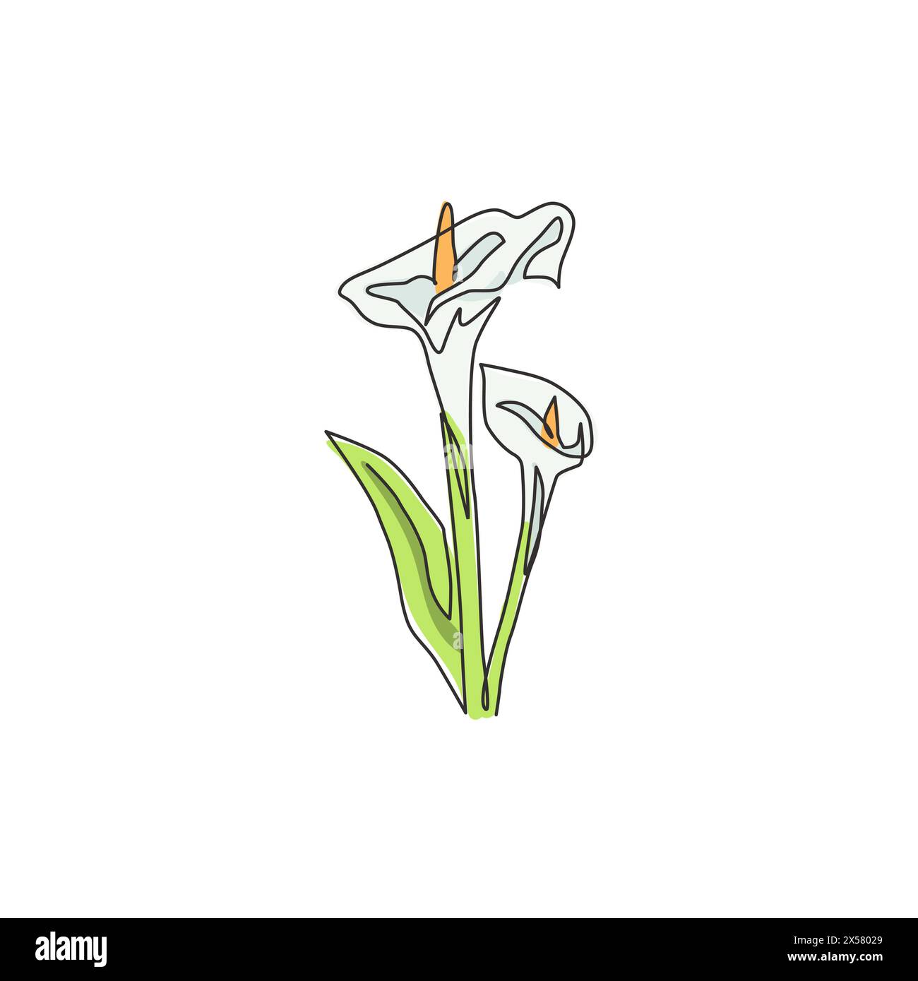 One continuous line drawing beauty fresh zantedeschia for home wall decor print. Printable decorative arum lily flower for wedding invitation card. Mo Stock Vector