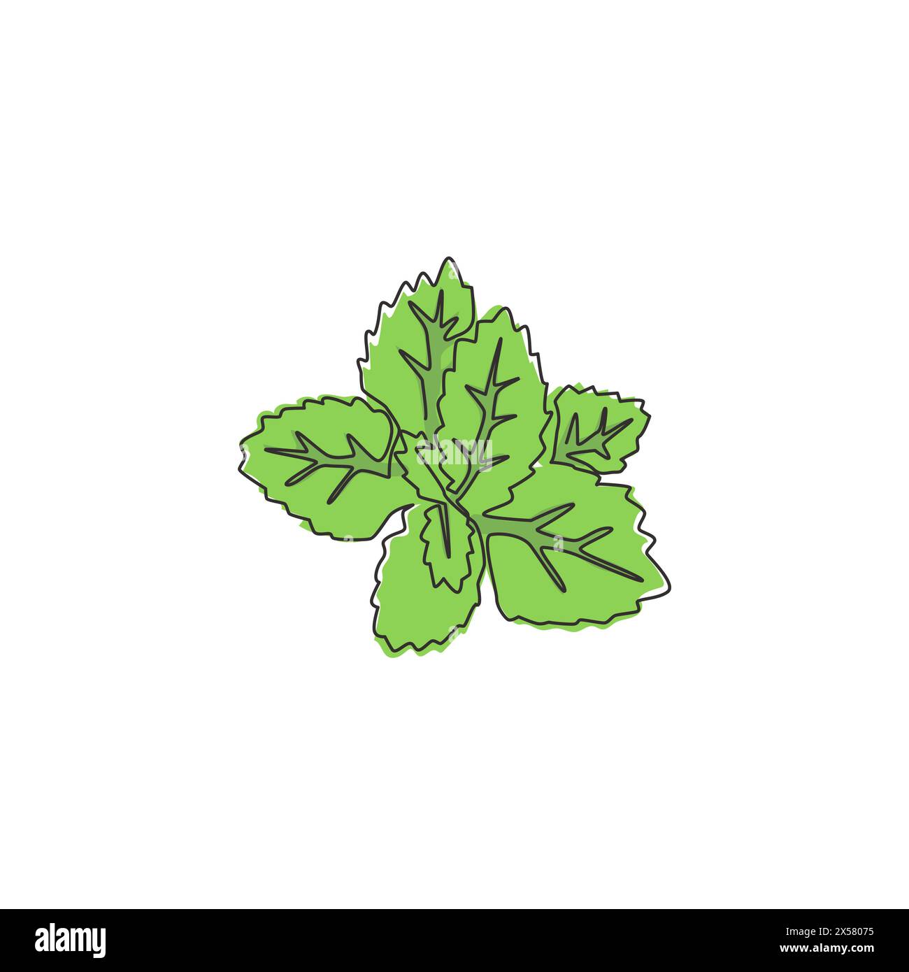 One single line drawing of healthy organic mint leaves for farm logo identity. Fresh lamiaceae plant concept for plantation icon. Modern continuous li Stock Vector