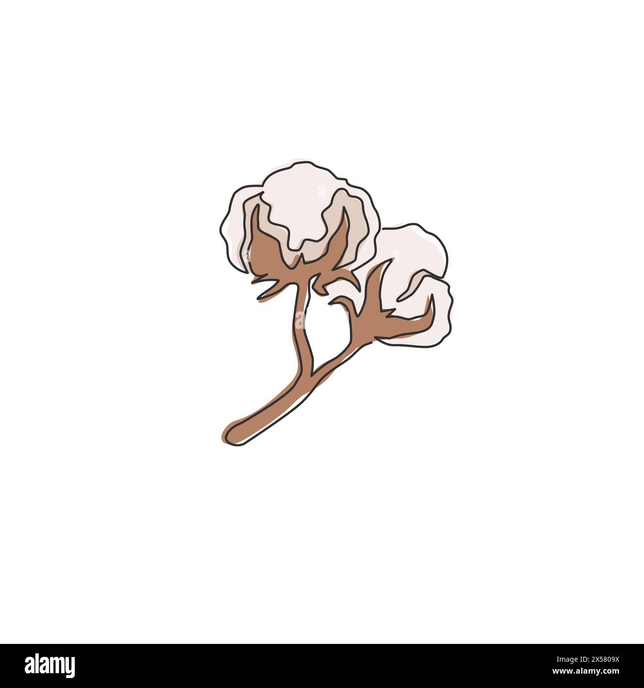One single line drawing of whole soft and fluffy cotton flower for