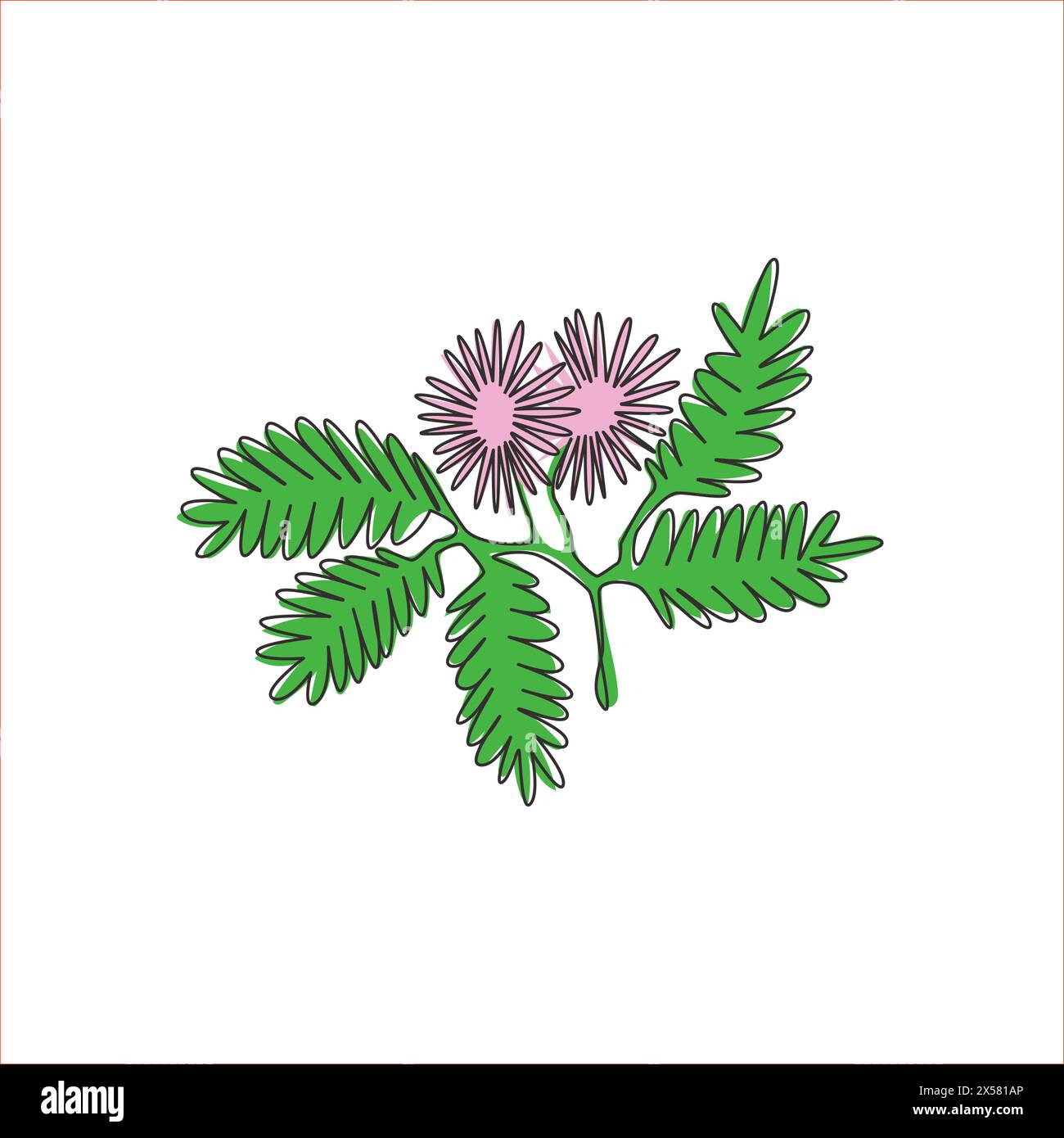 Single one line drawing of beauty fresh mimosa pudica for garden logo. Decorative of action plant concept for home wall decor art poster print. Modern Stock Vector