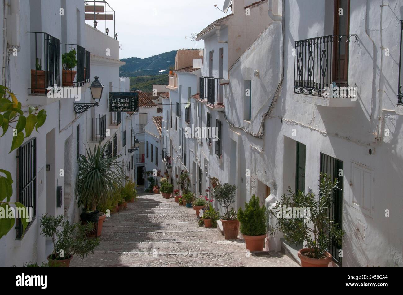 Whitewashed buildings line the narrow streets and lanes of the 'White Village' of Frigiliana, Andalucia, Spain Stock Photo