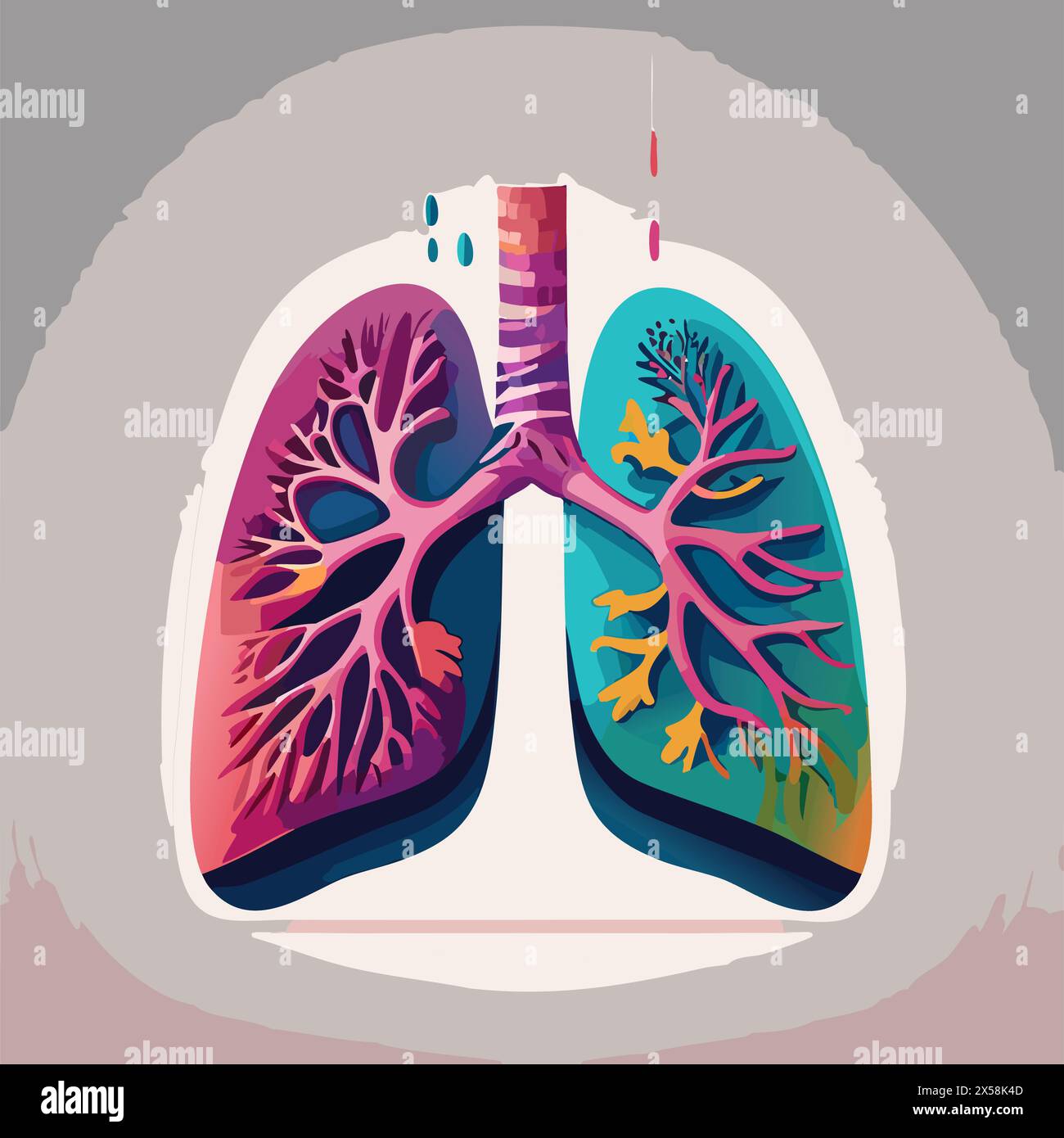 Two lungs vector hi-res stock photography and images - Alamy