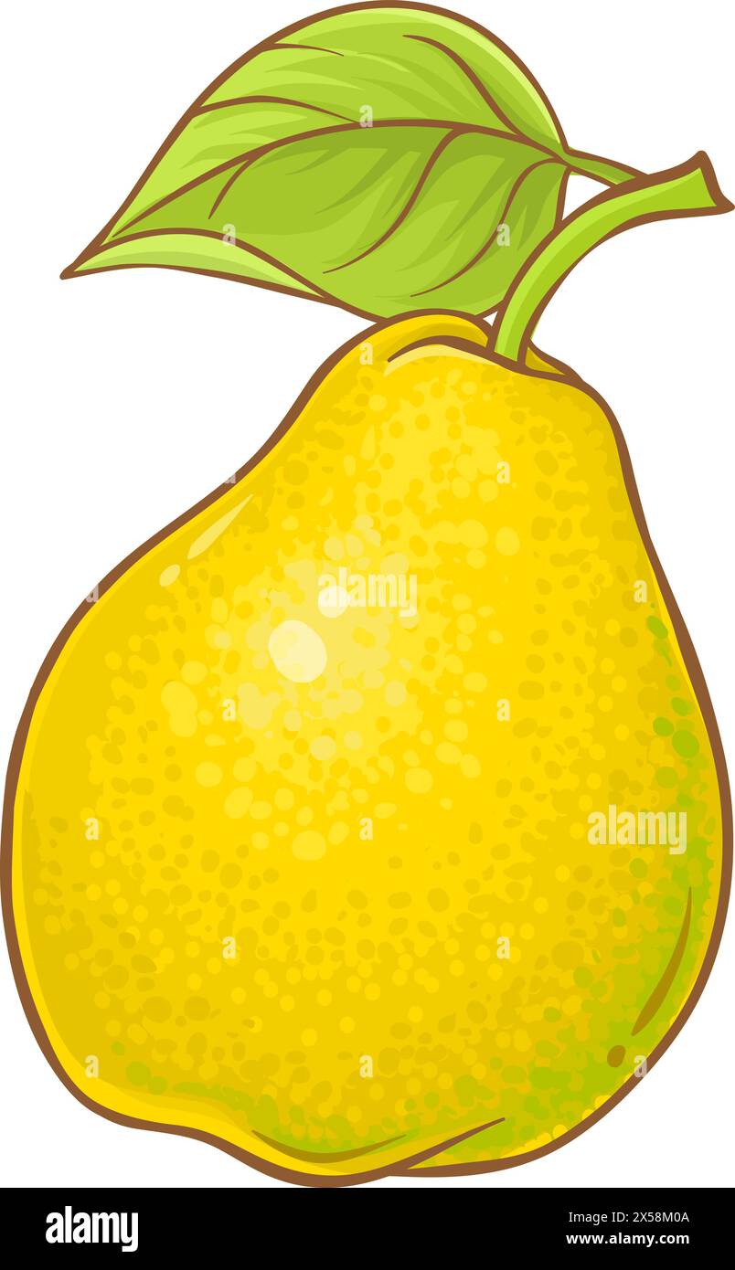 Pear Fruit Colored Detailed Illustration Stock Vector Image & Art - Alamy