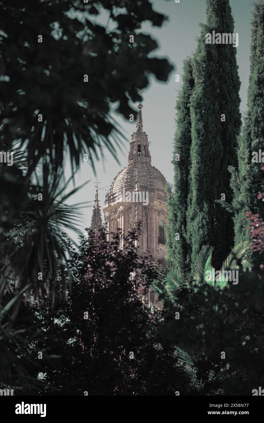 Enveloped in greenery intricate hi-res stock photography and images - Alamy