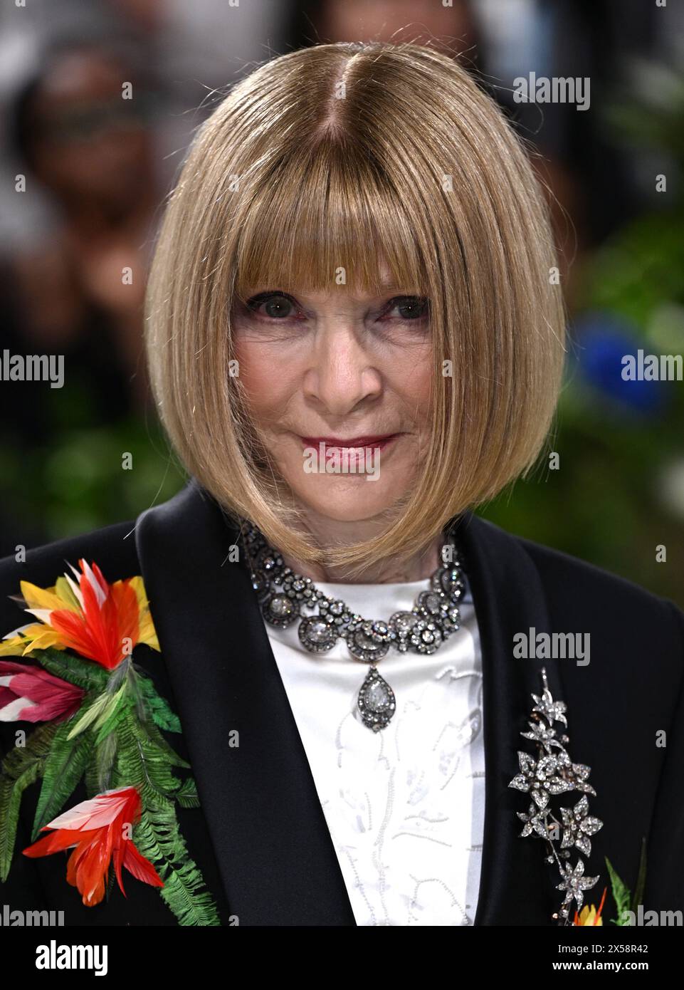 new-york-usa-may-6th-2024-anna-wintour-arriving-at-the-met-gala