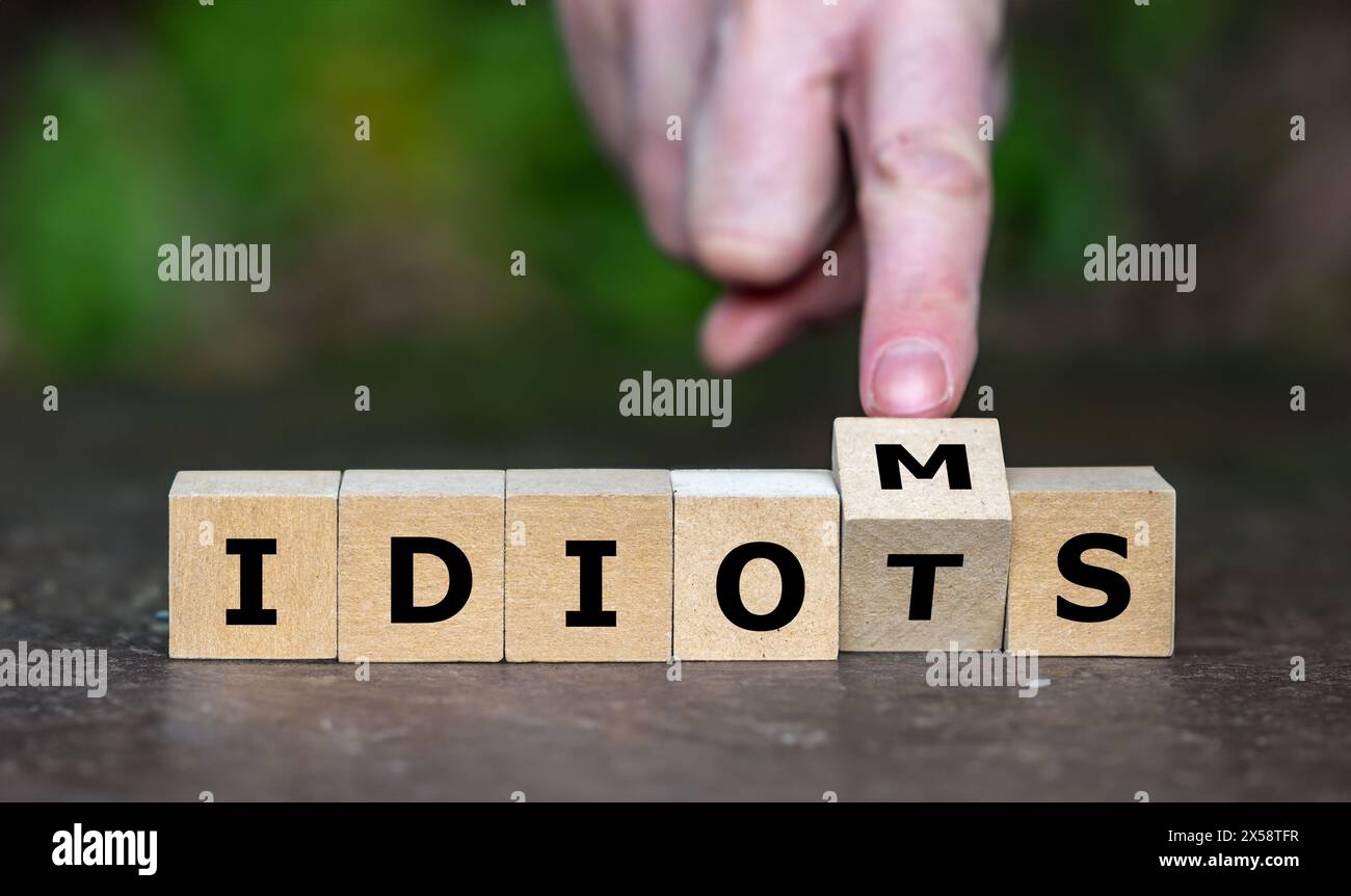 Wooden cubes form the words idiots and idioms. Stock Photo