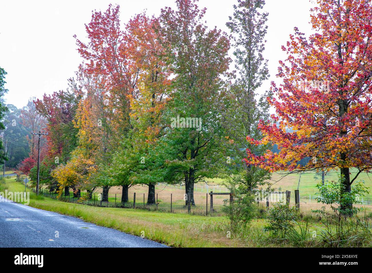 Bilpin town hires stock photography and images Alamy