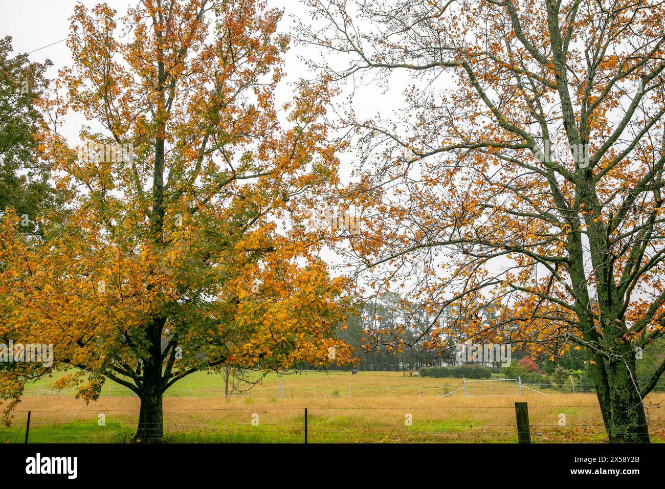 Bilpin town hires stock photography and images Alamy