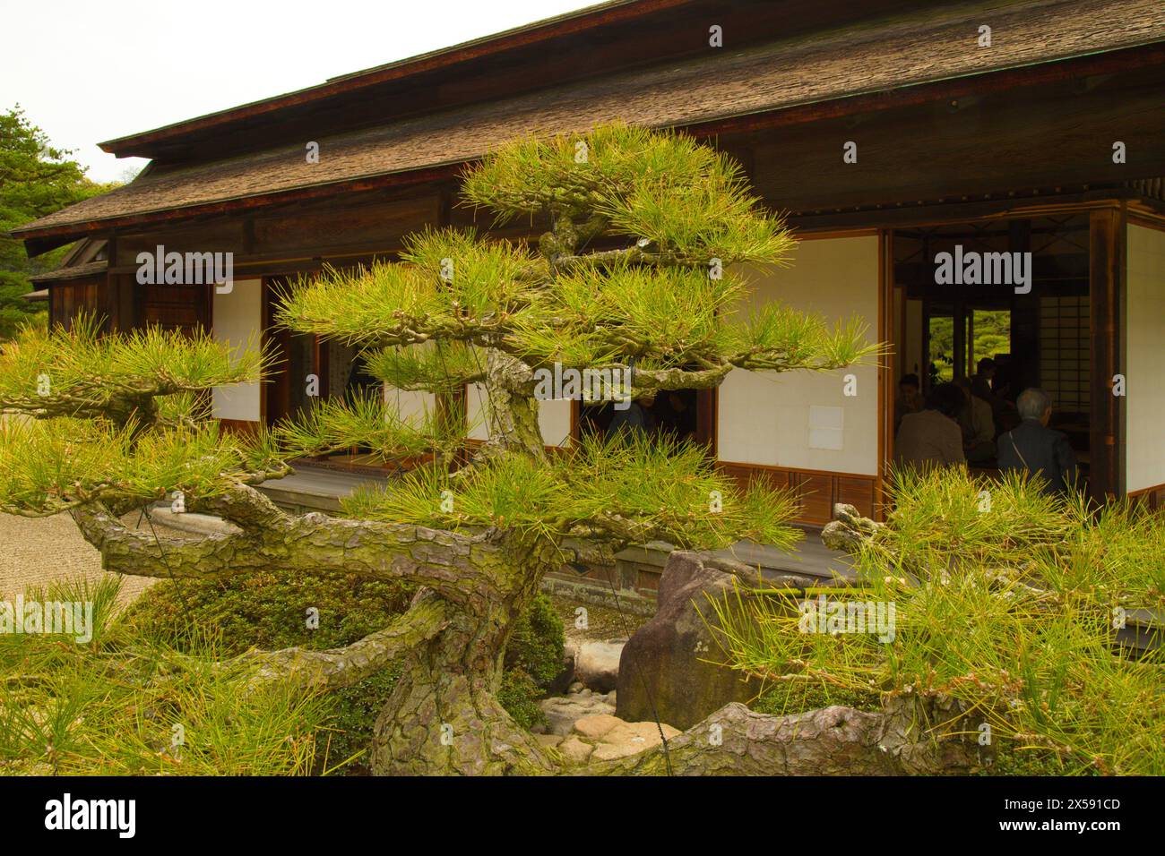 Japan, Shikoku, Takamatsu, Ritsurin-koen, garden, Stock Photo