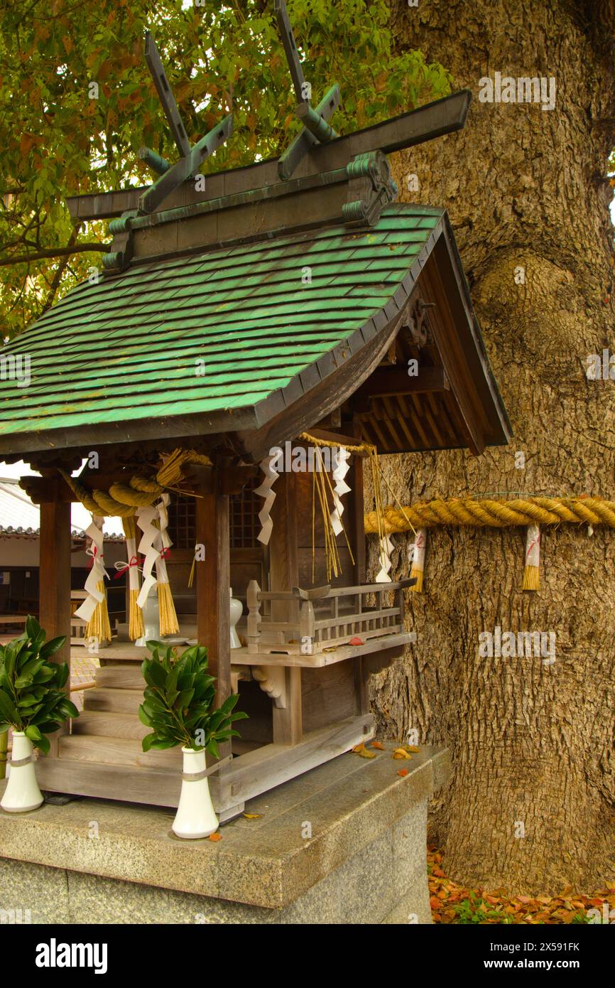 Japan, Shikoku, Kotohira, small shinto shrine Stock Photo - Alamy