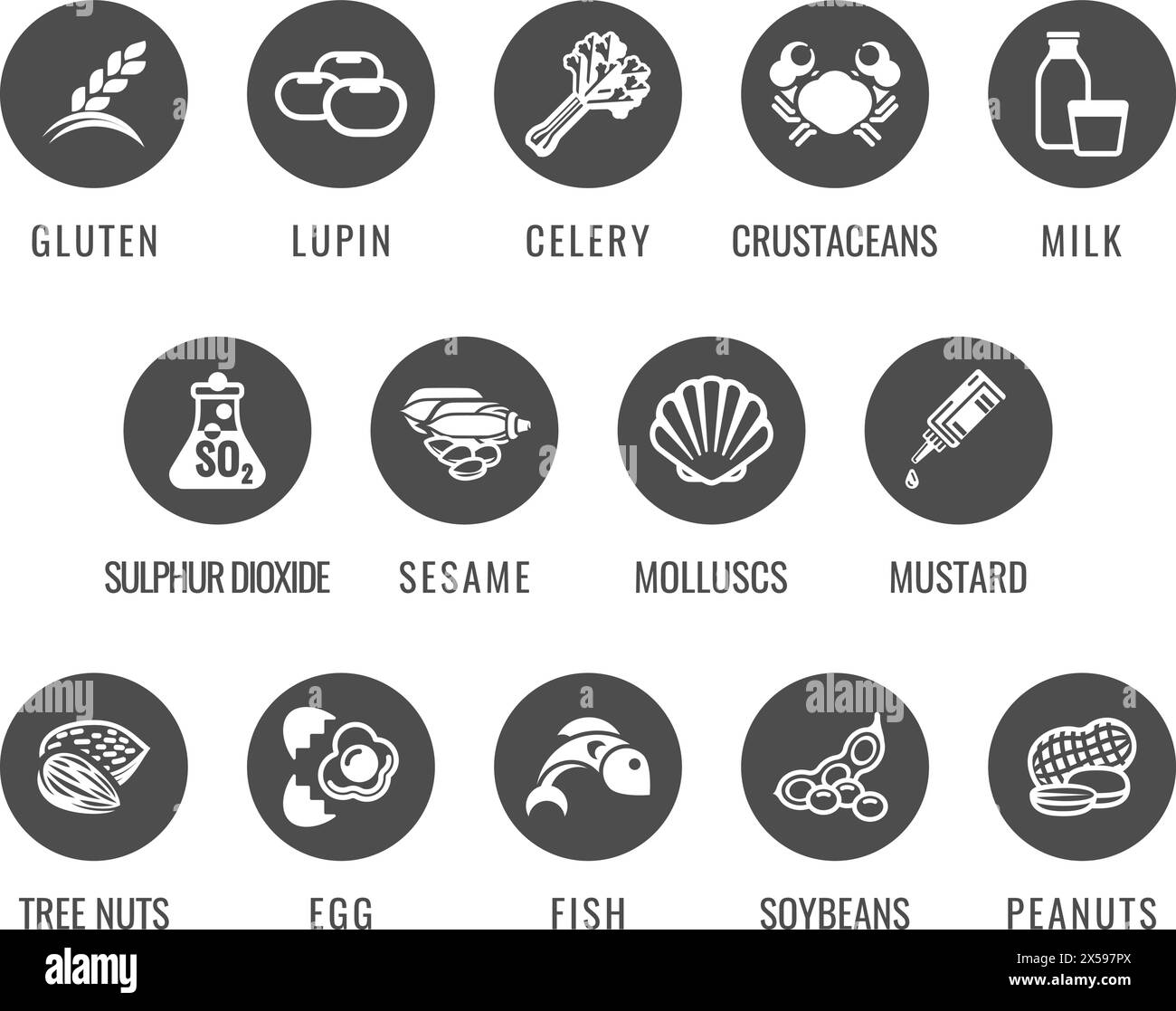 Allergen Food Major Allergy Icons Stock Vector