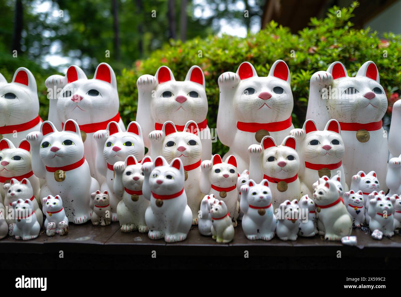 Maneki-neko 'beckoning cat' statues at the famous cat shrine,  Gotokuji Temple in Tokyo, Japan Stock Photo