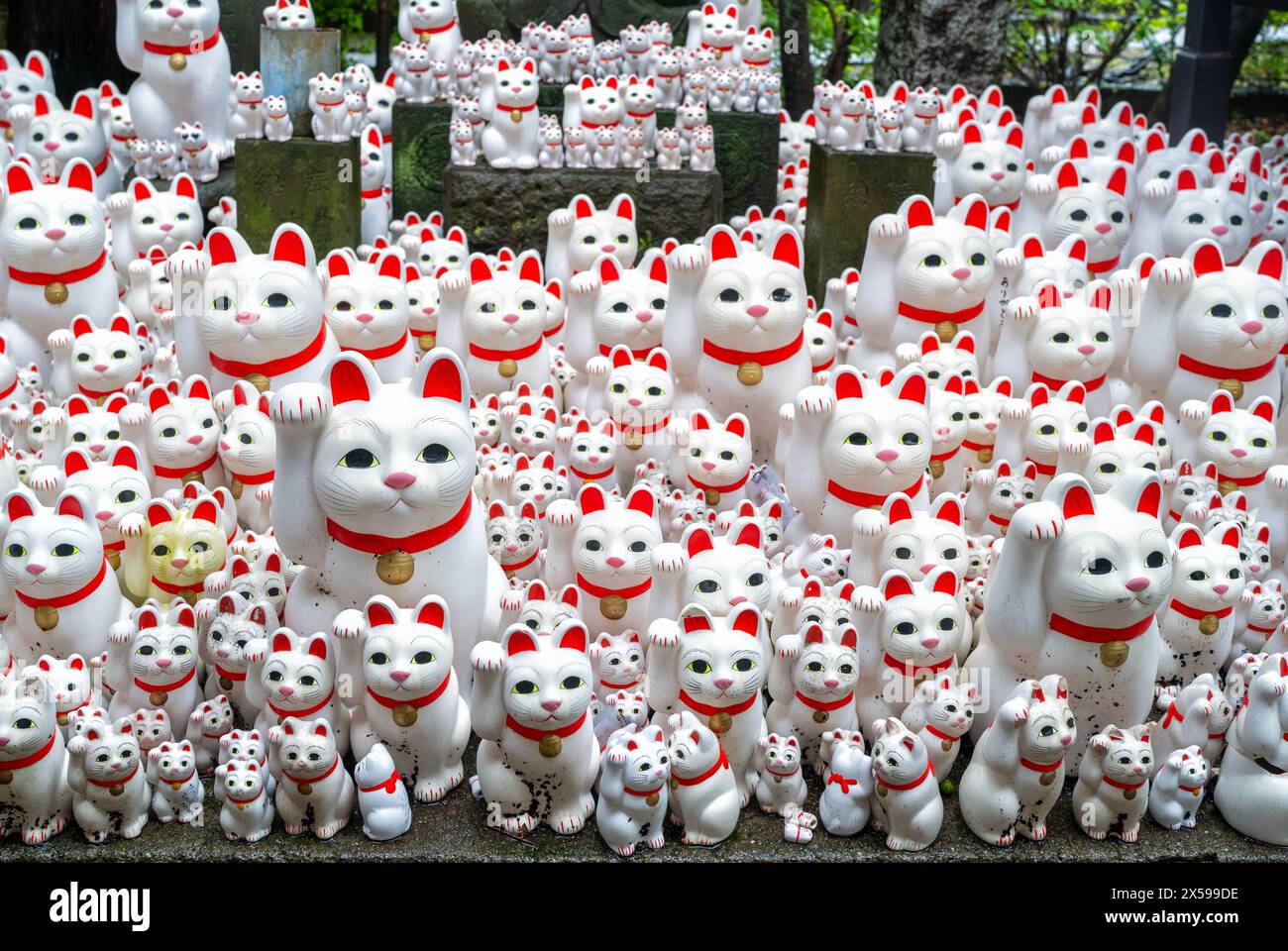Maneki-neko 'beckoning cat' statues at the famous cat shrine,  Gotokuji Temple in Tokyo Stock Photo