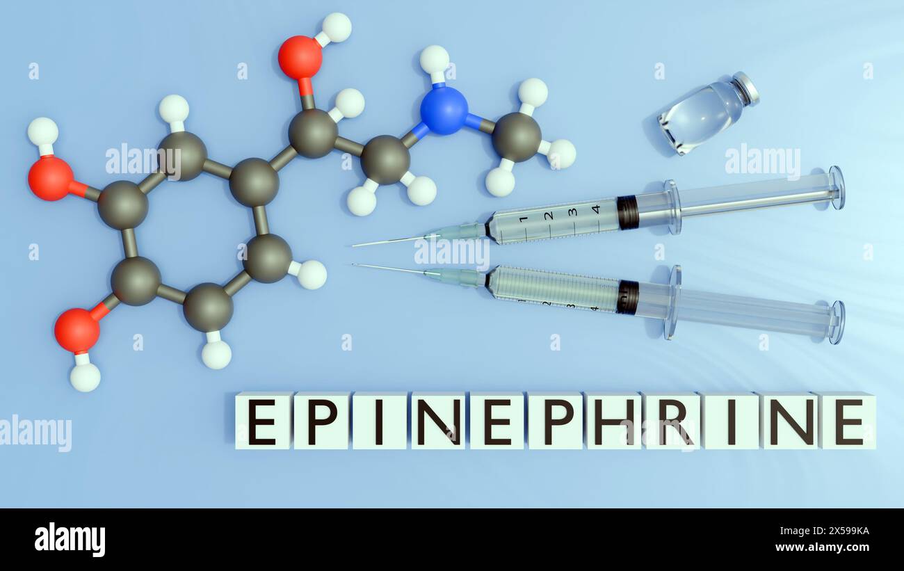 3d rendering of epinephrine or adrenaline molecule and epinephrine on the word blocks Stock Photo