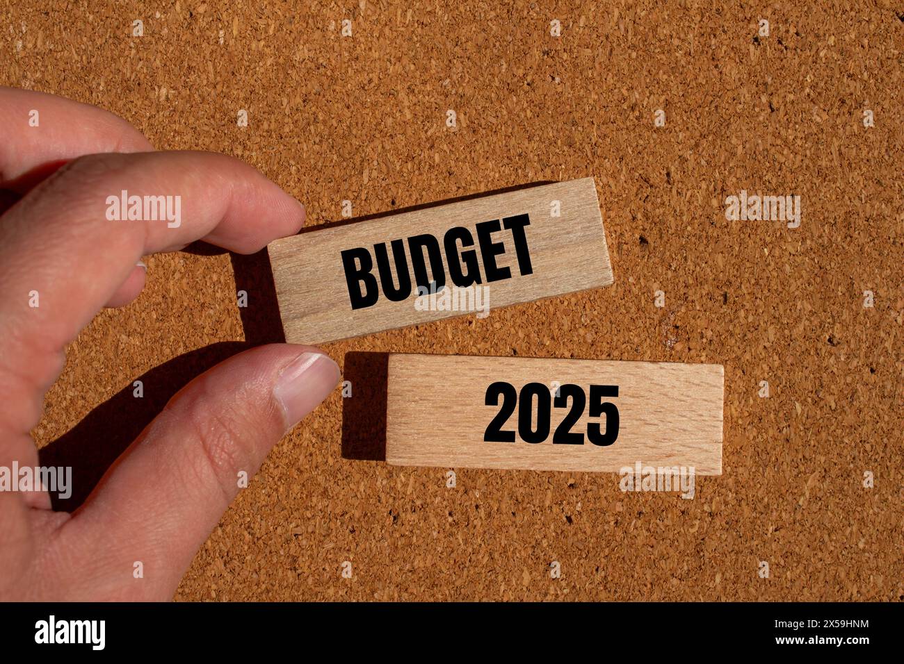 Budget 2025 words written on wooden blocks with brown background
