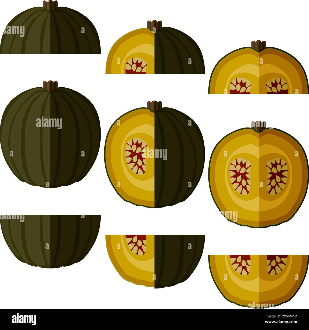 Set of Zapallo Macre Squash. Winter squash. Cucurbita maxima. Fruits and vegetables. Flat style. Isolated vector illustration. Stock Vector