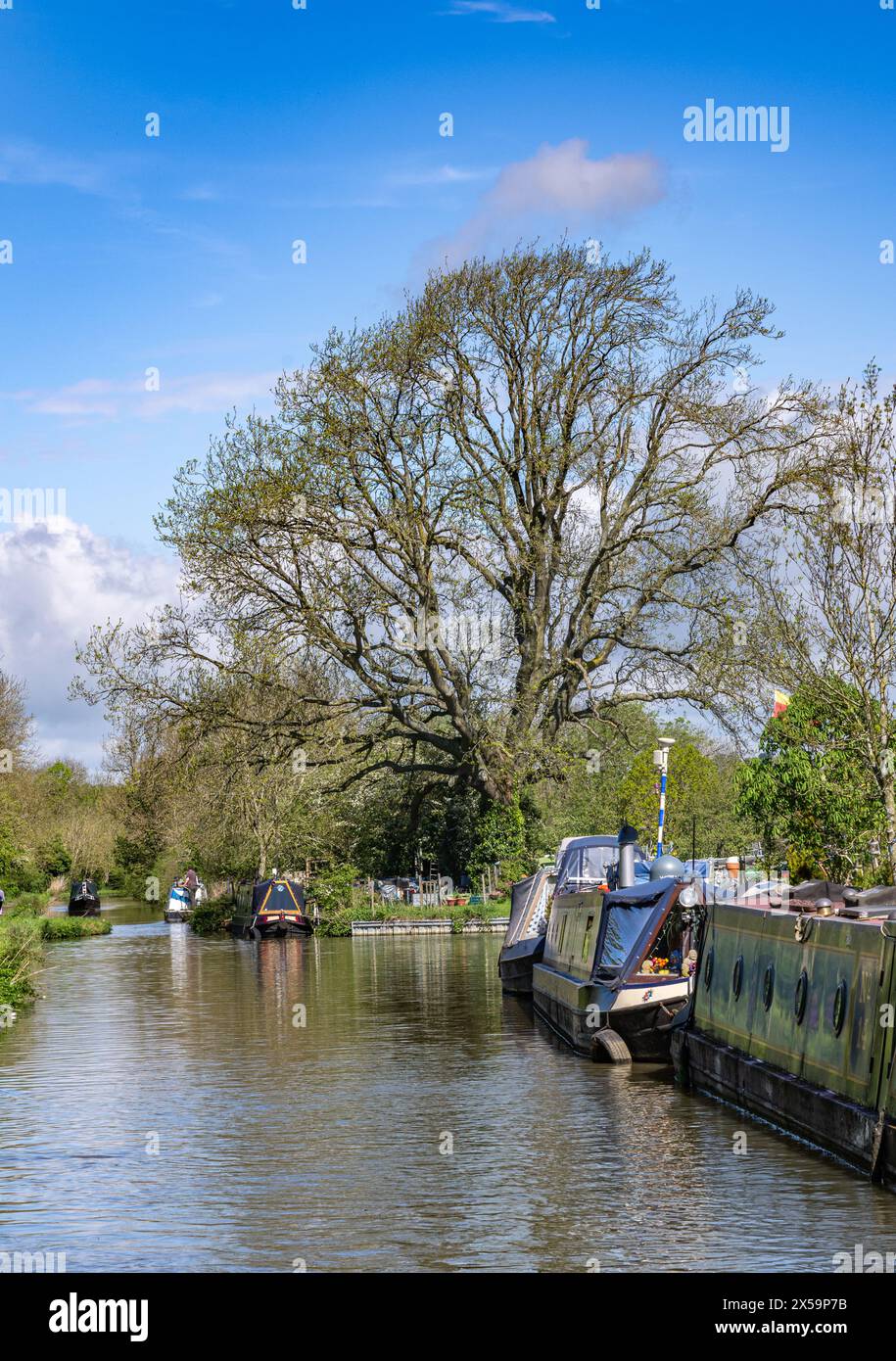 Rugby, Warwickshire, England  – A narrowboat moored along the Oxford Canal under a summer blue sky Stock Photo