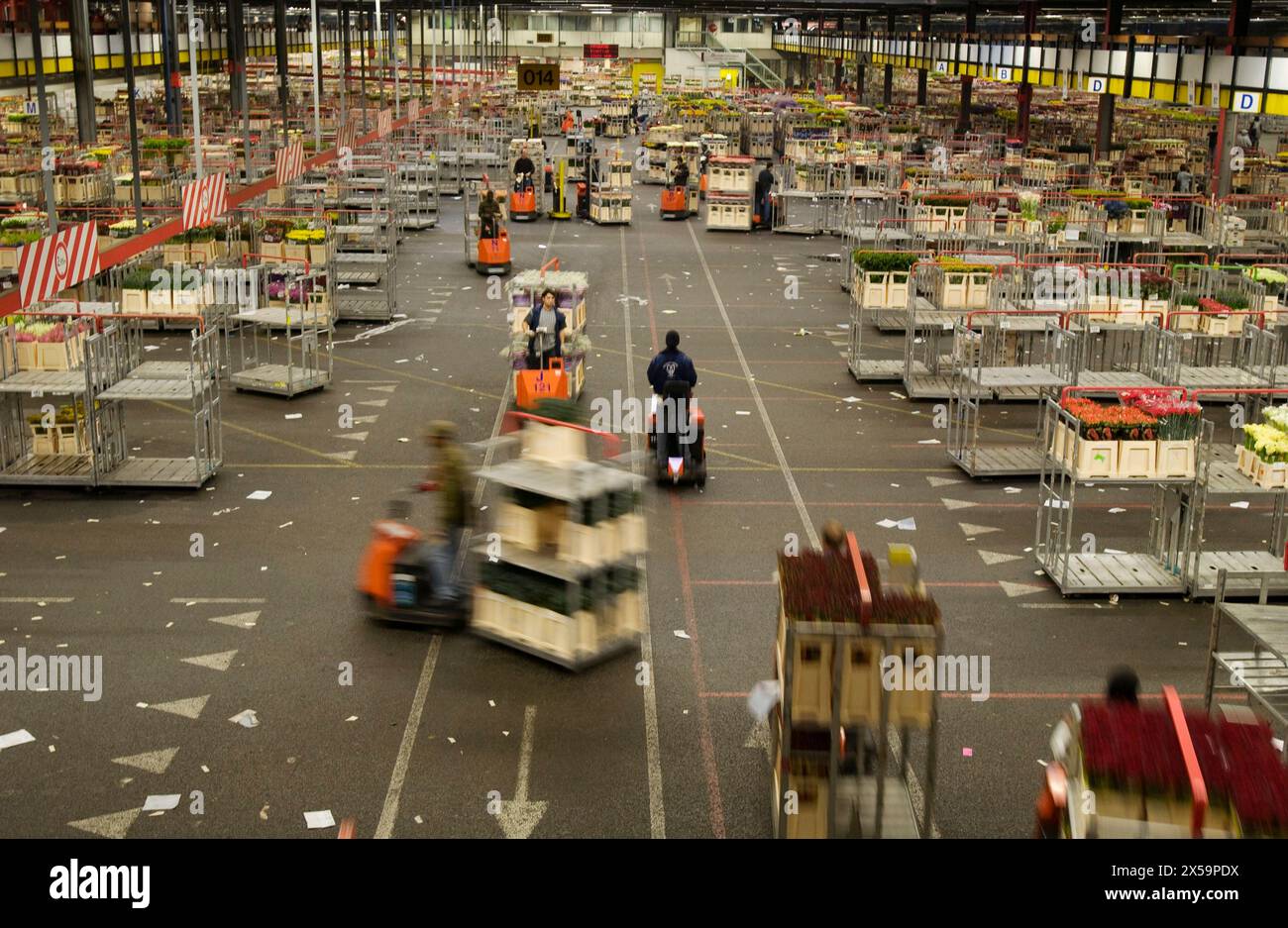 Distribution hall, Flower Auction (Bloemenveiling) Aalsmeer