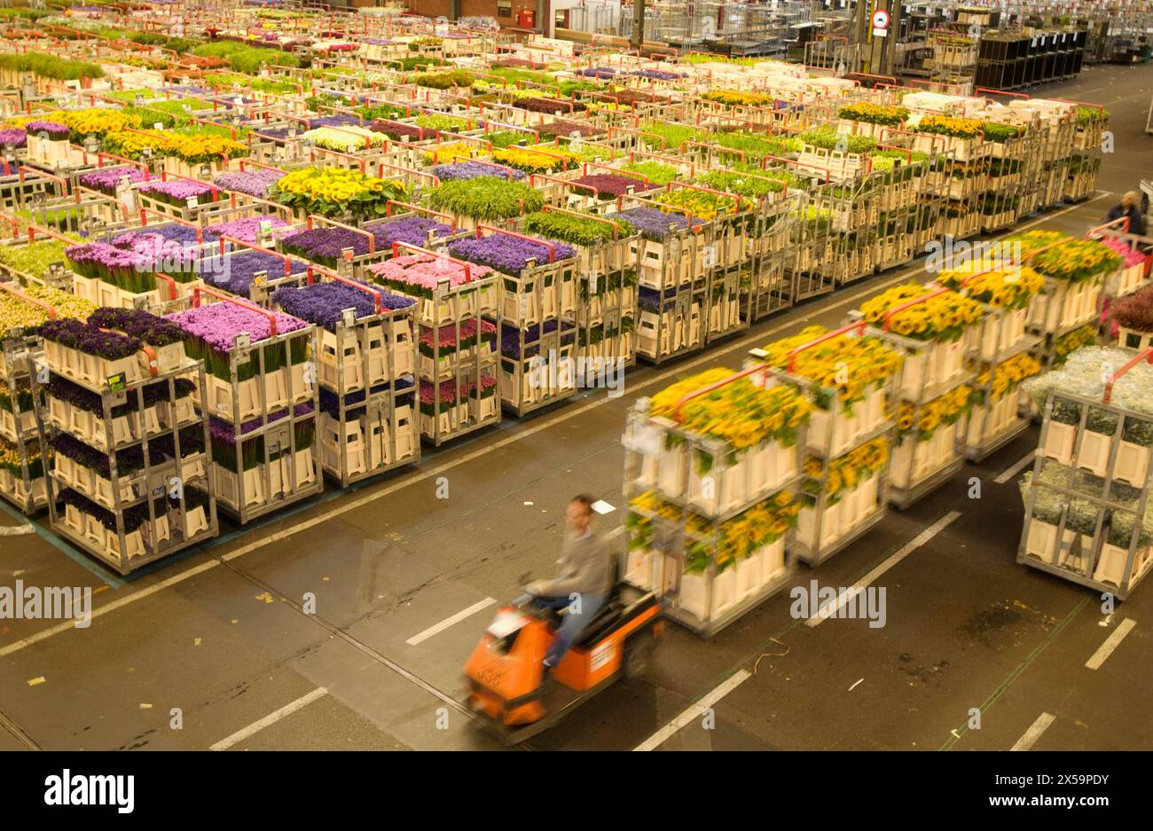 Distribution hall, Flower Auction (Bloemenveiling) Aalsmeer