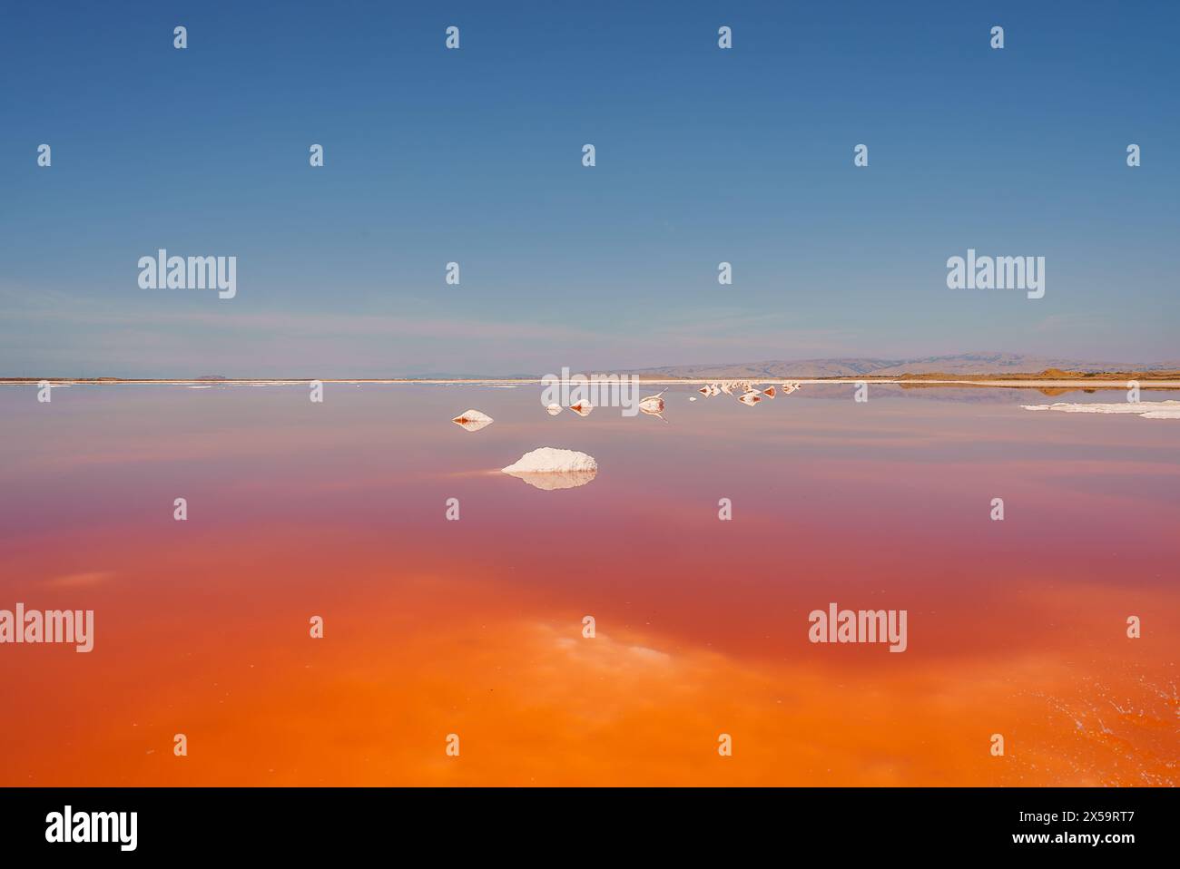 Vibrant Pink Lake Reflecting Blue Sky, Alviso Pink Lake Park, California Stock Photo