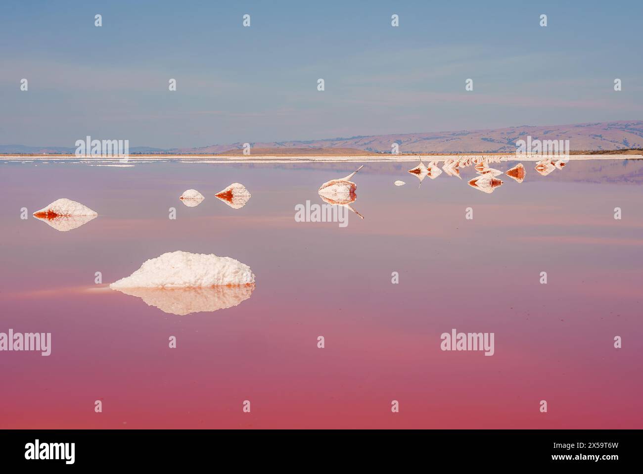 Serene landscape of pink lake with mirror like surface, Alviso Pink