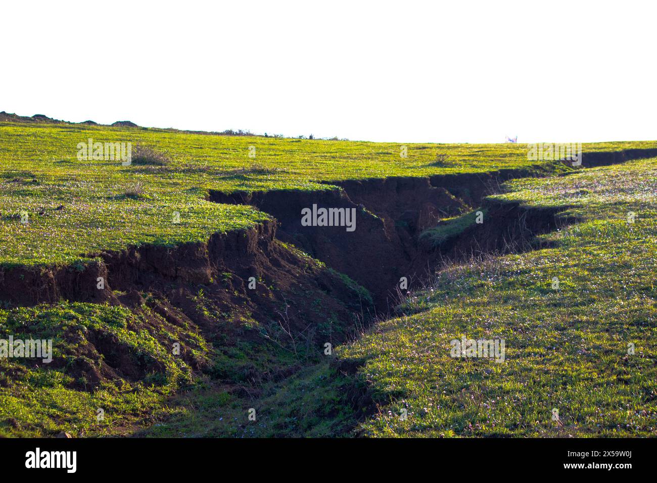 Fault line. The land in Istanbul was divided into two. Earthquake. Fault line visible from the surface. Ground motion idea concept. Horizontal photo. Stock Photo