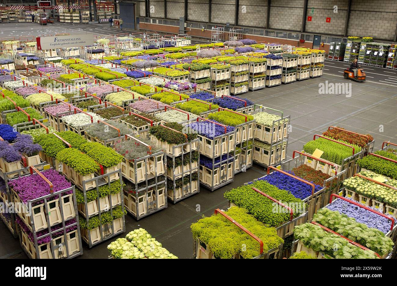 Distribution hall, Flower Auction (Bloemenveiling) Aalsmeer